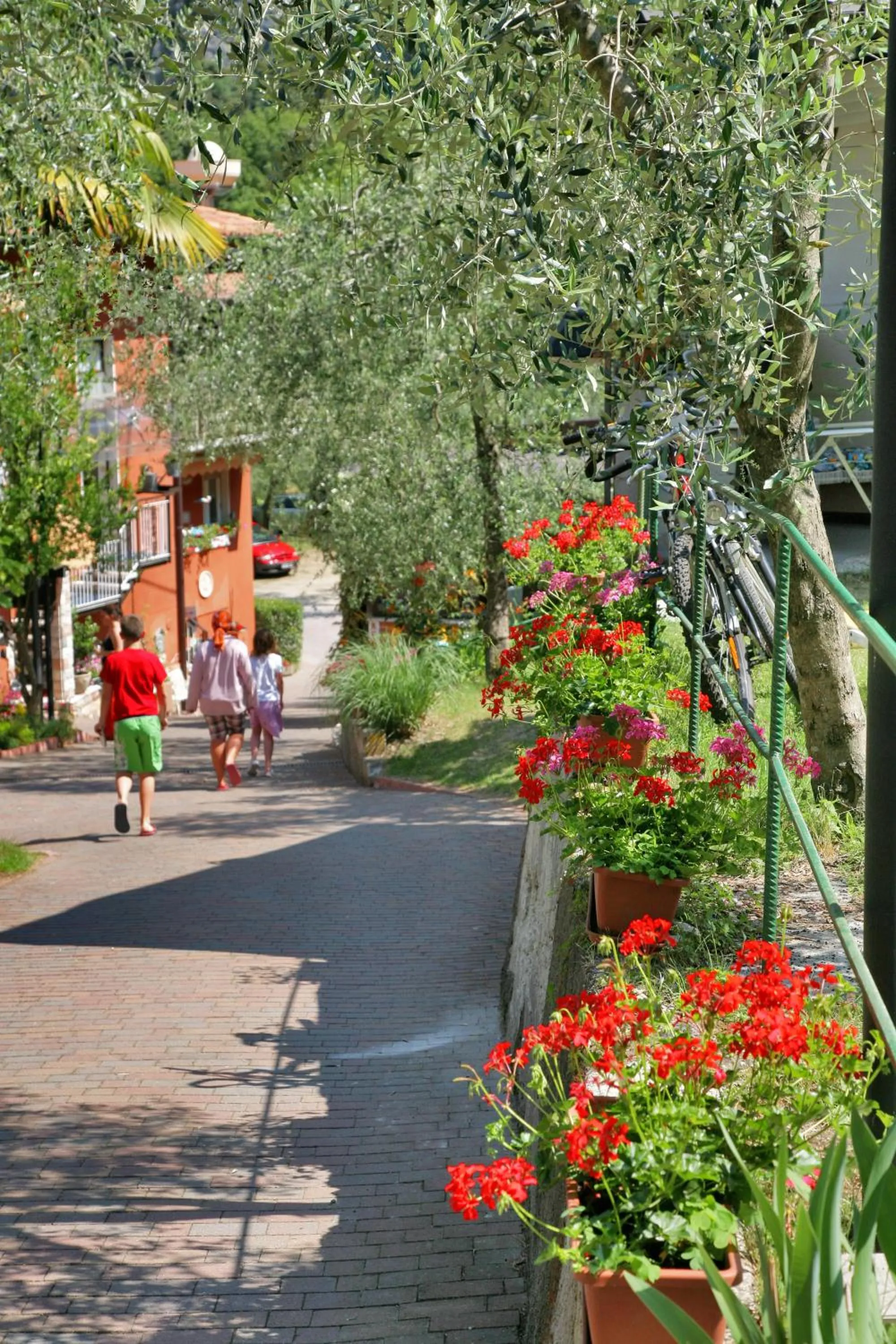 Lobby or reception in Hotel Baitone - Nature Village