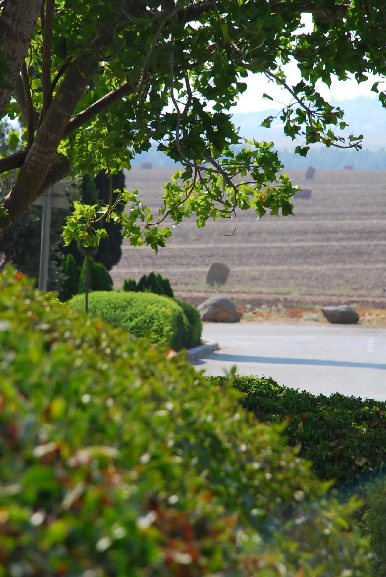 Natural landscape in Holiday Village Kibbutz Mizra
