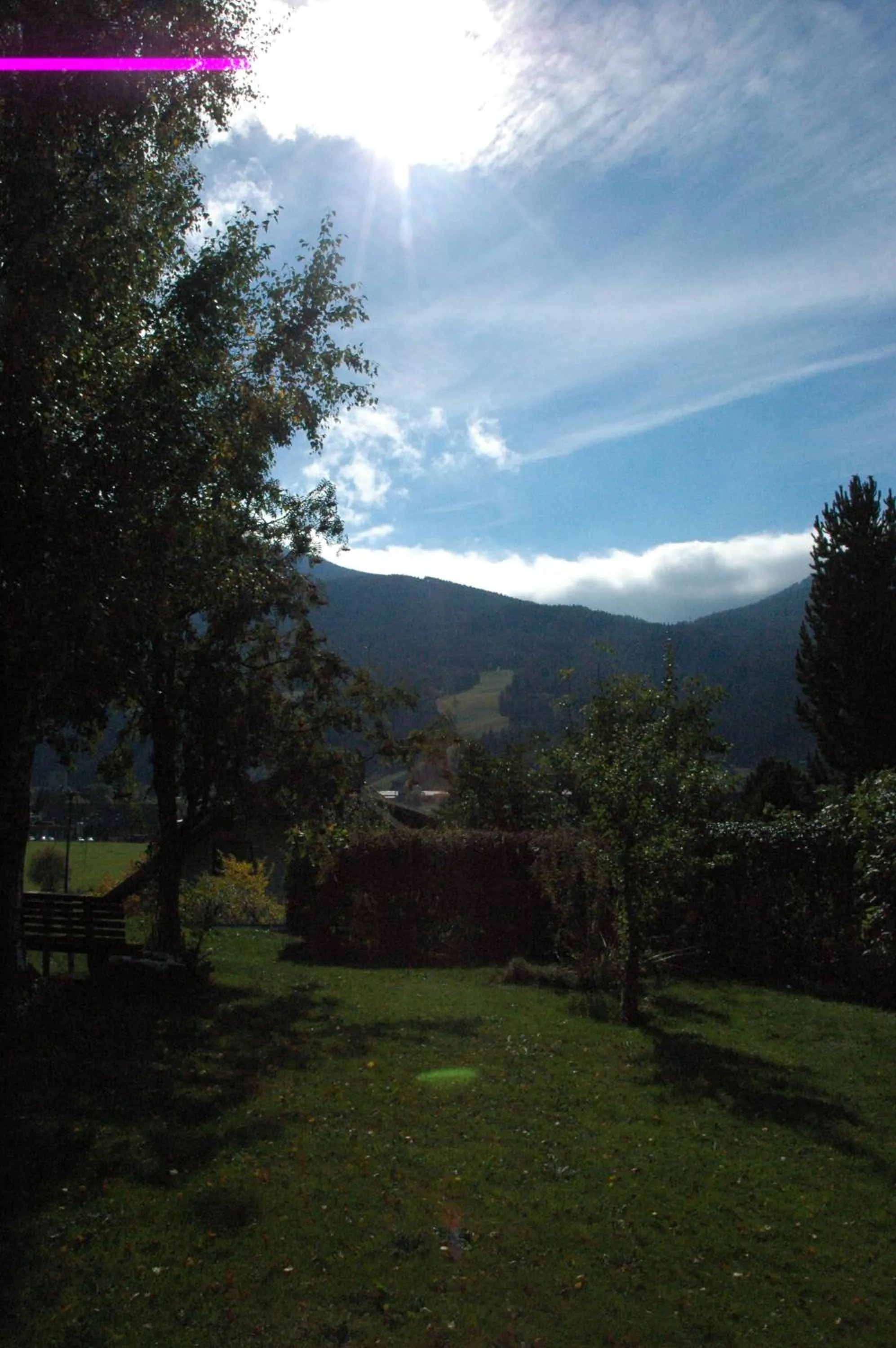 Garden in Appartement Haus Moser