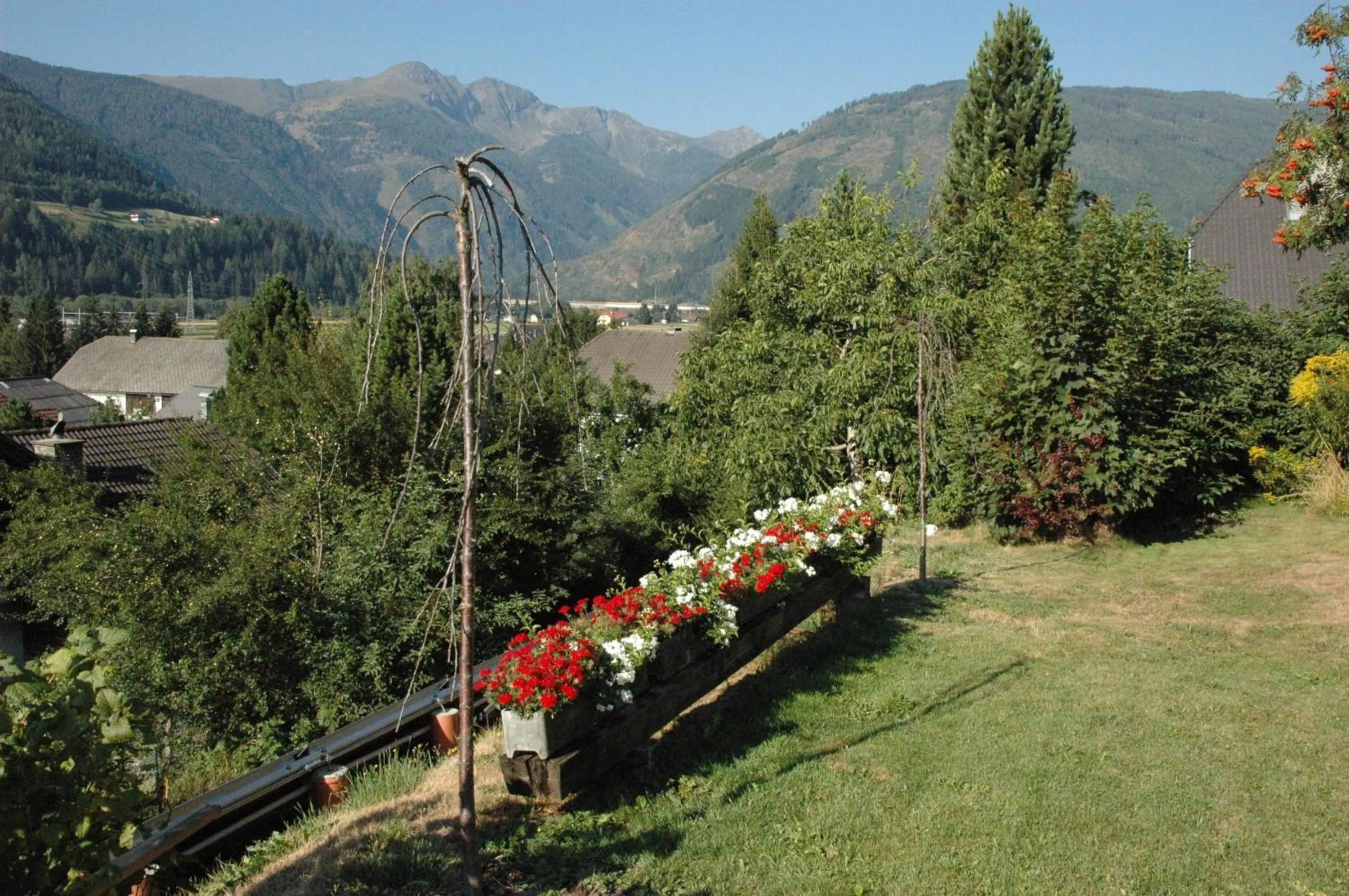 Area and facilities in Appartement Haus Moser