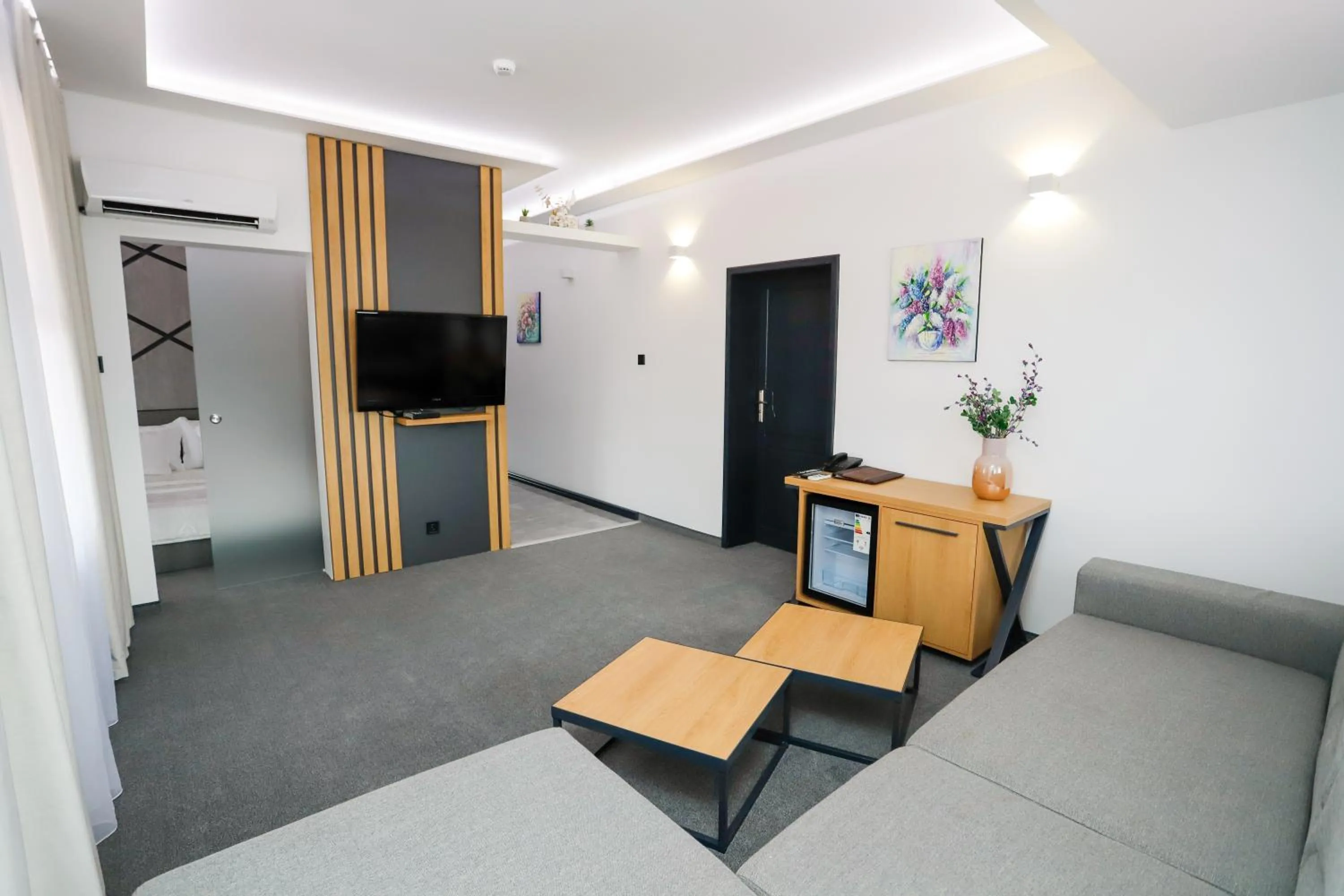 Communal lounge/ TV room in Glavatarski Han