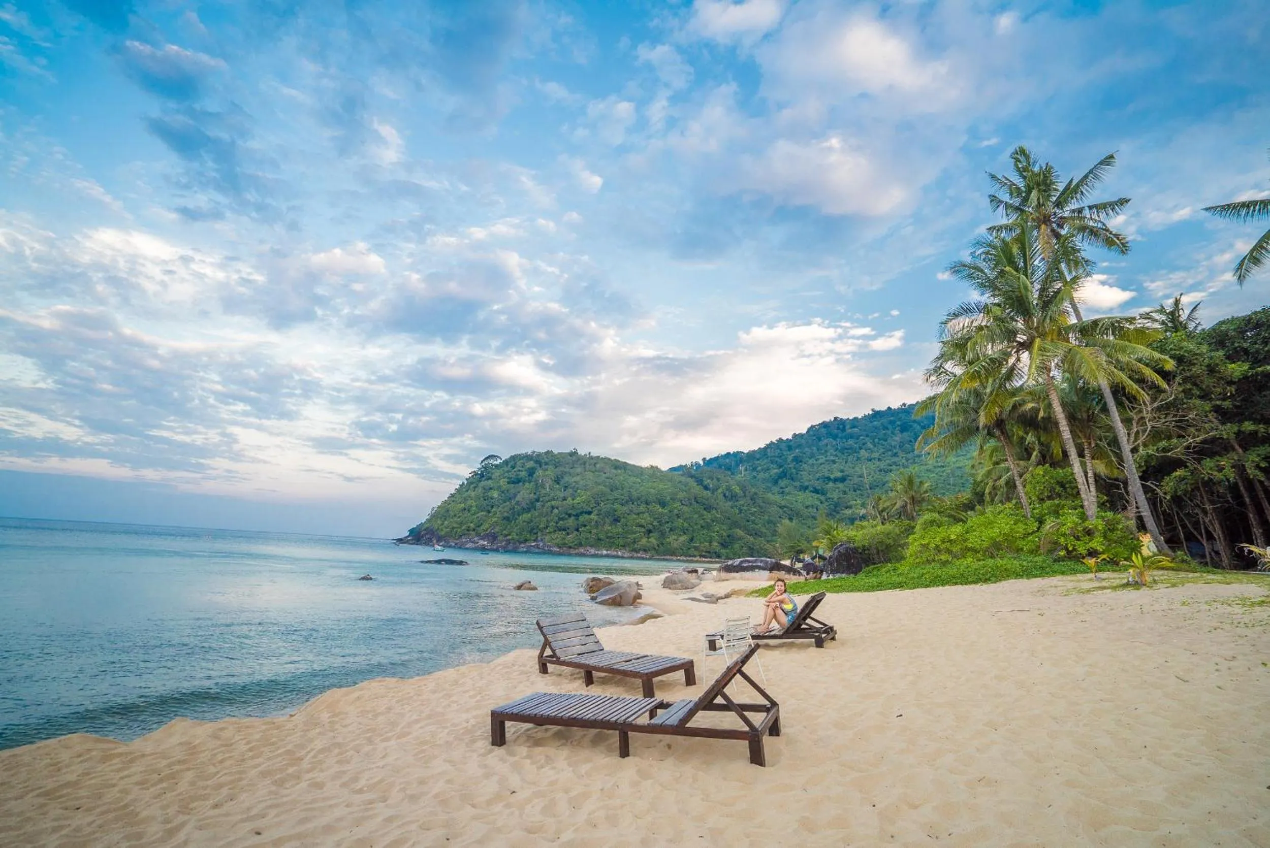 Natural landscape in 1511 Coconut Grove