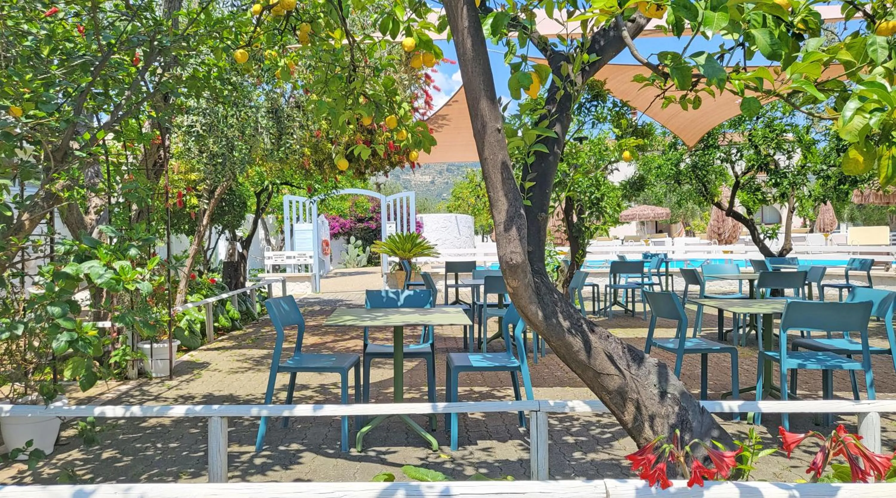 Garden in Hotel Residence Torre Del Porto