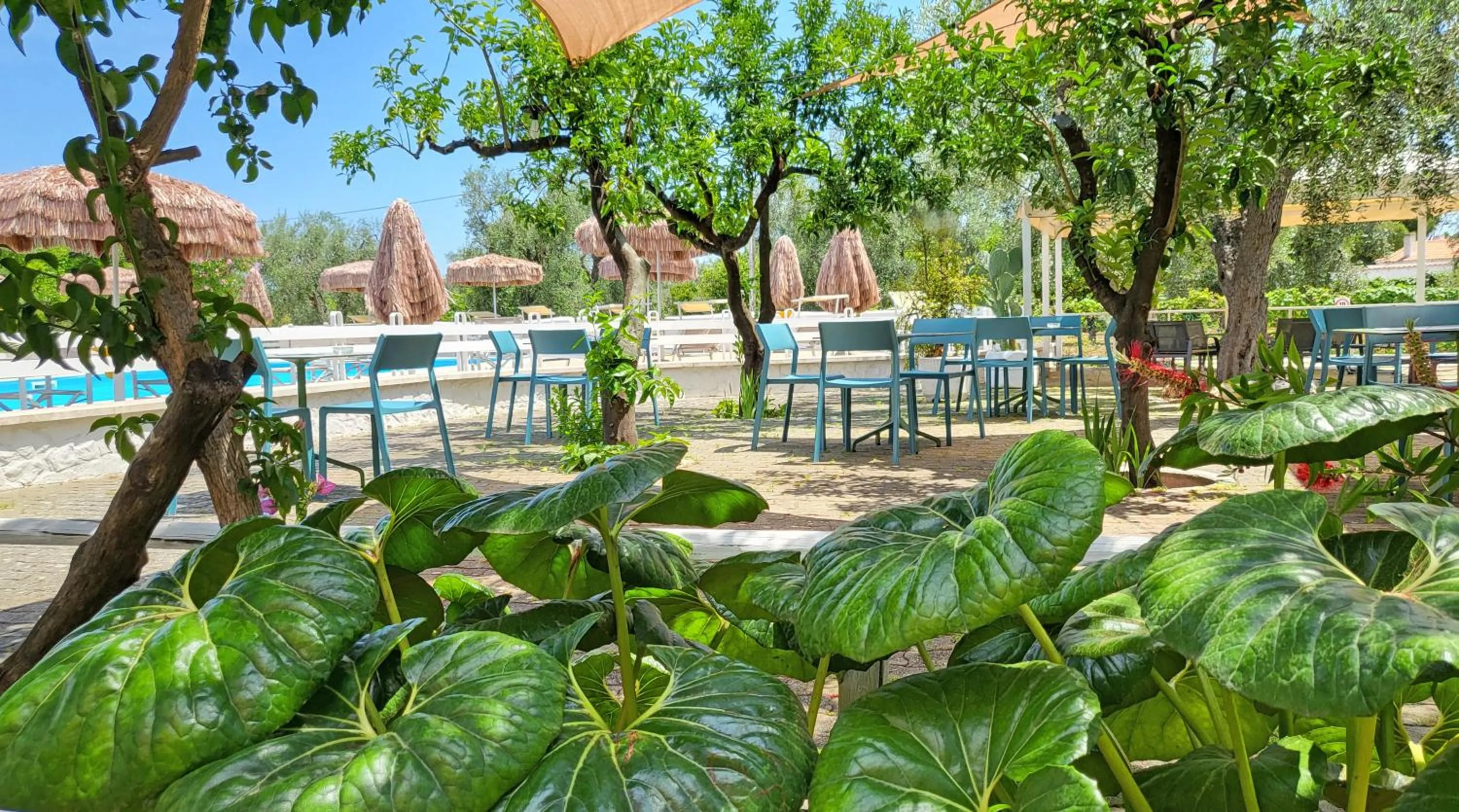 Garden in Hotel Residence Torre Del Porto