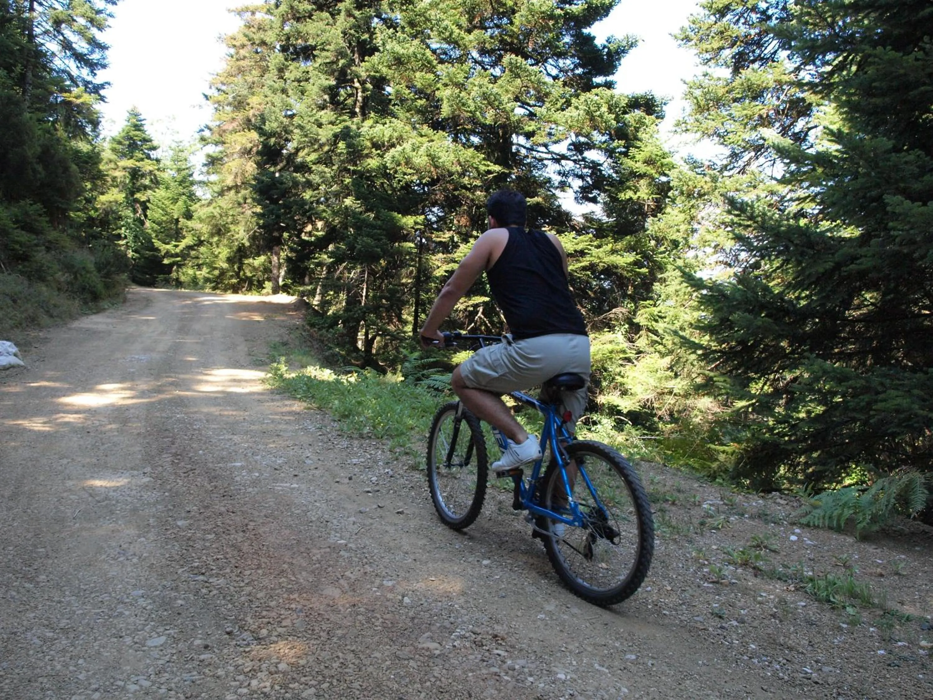 Cycling in Xenonas Kypseli