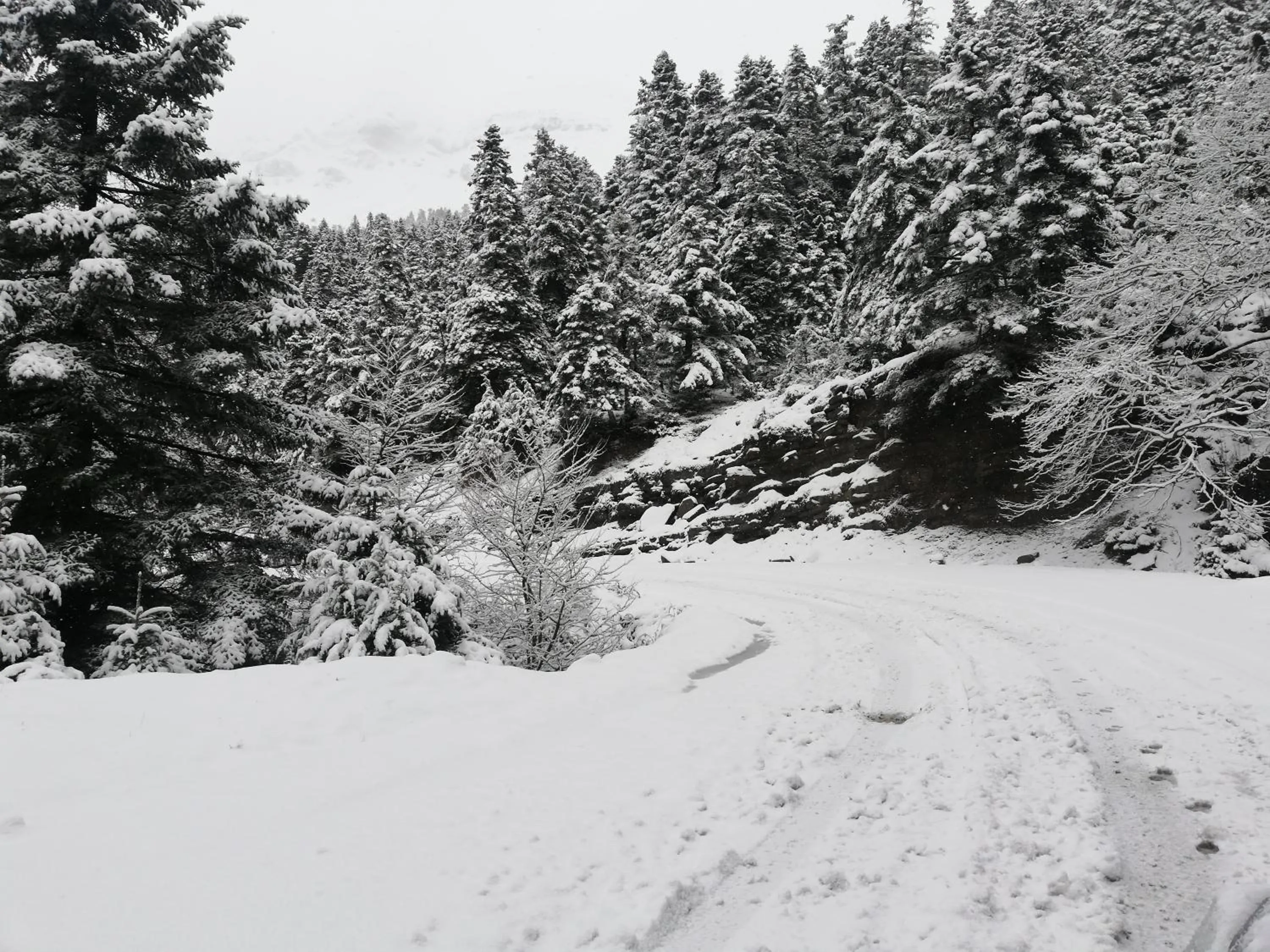 Natural landscape in Xenonas Kypseli