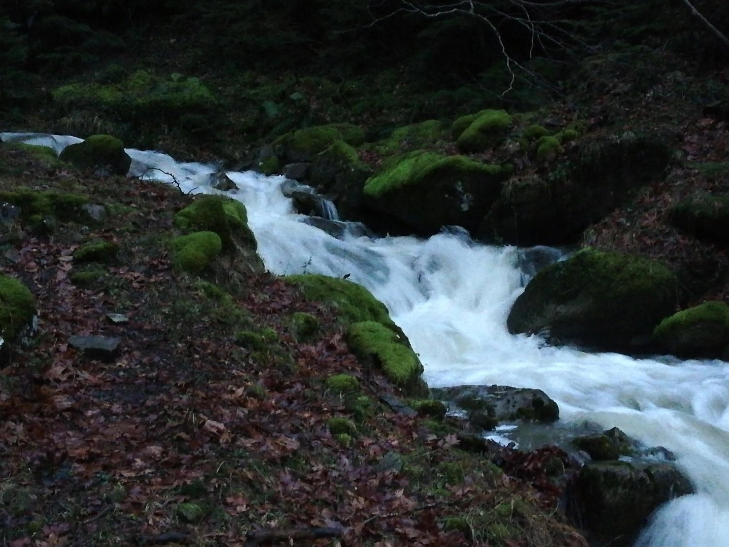 Natural landscape in Xenonas Kypseli
