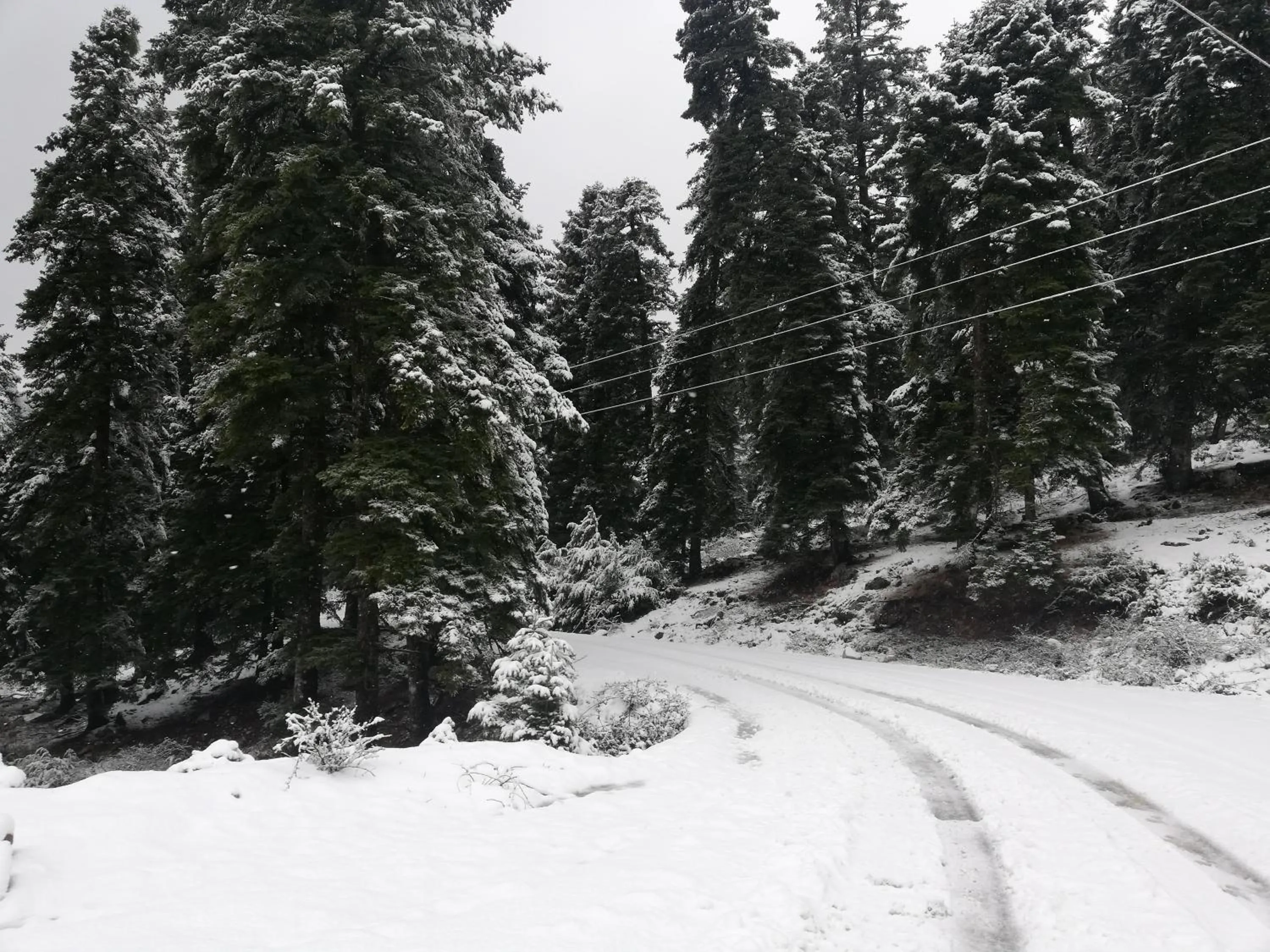 Day in Xenonas Kypseli