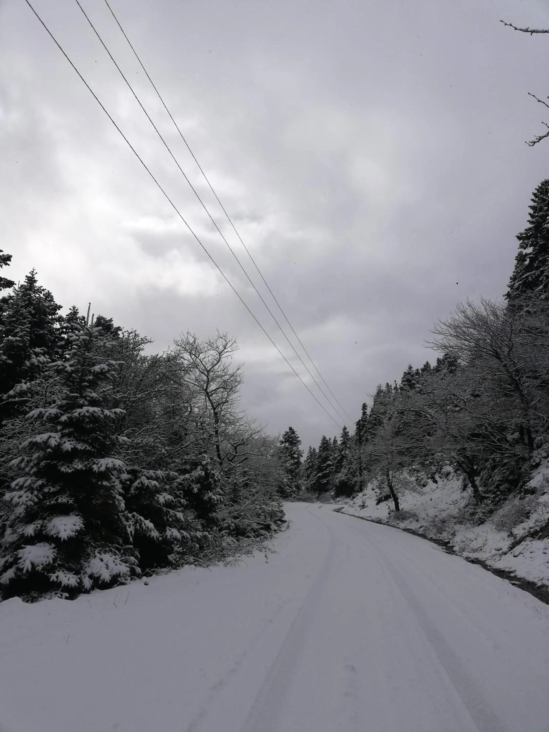 Day in Xenonas Kypseli