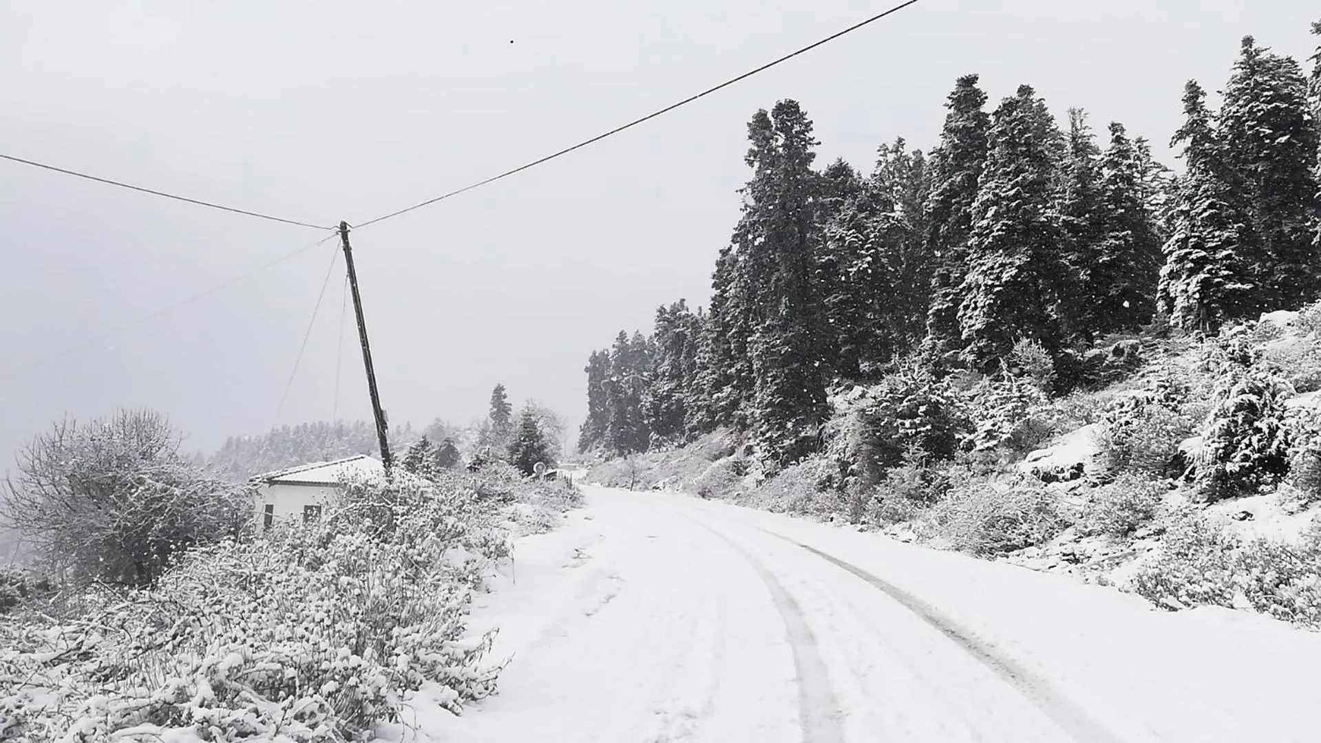 Natural landscape in Xenonas Kypseli