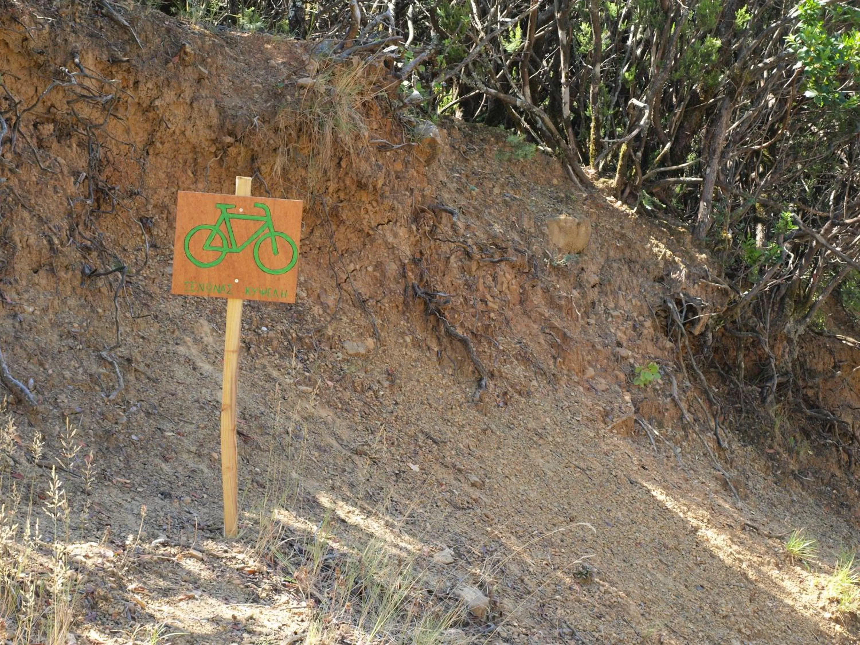 Cycling in Xenonas Kypseli