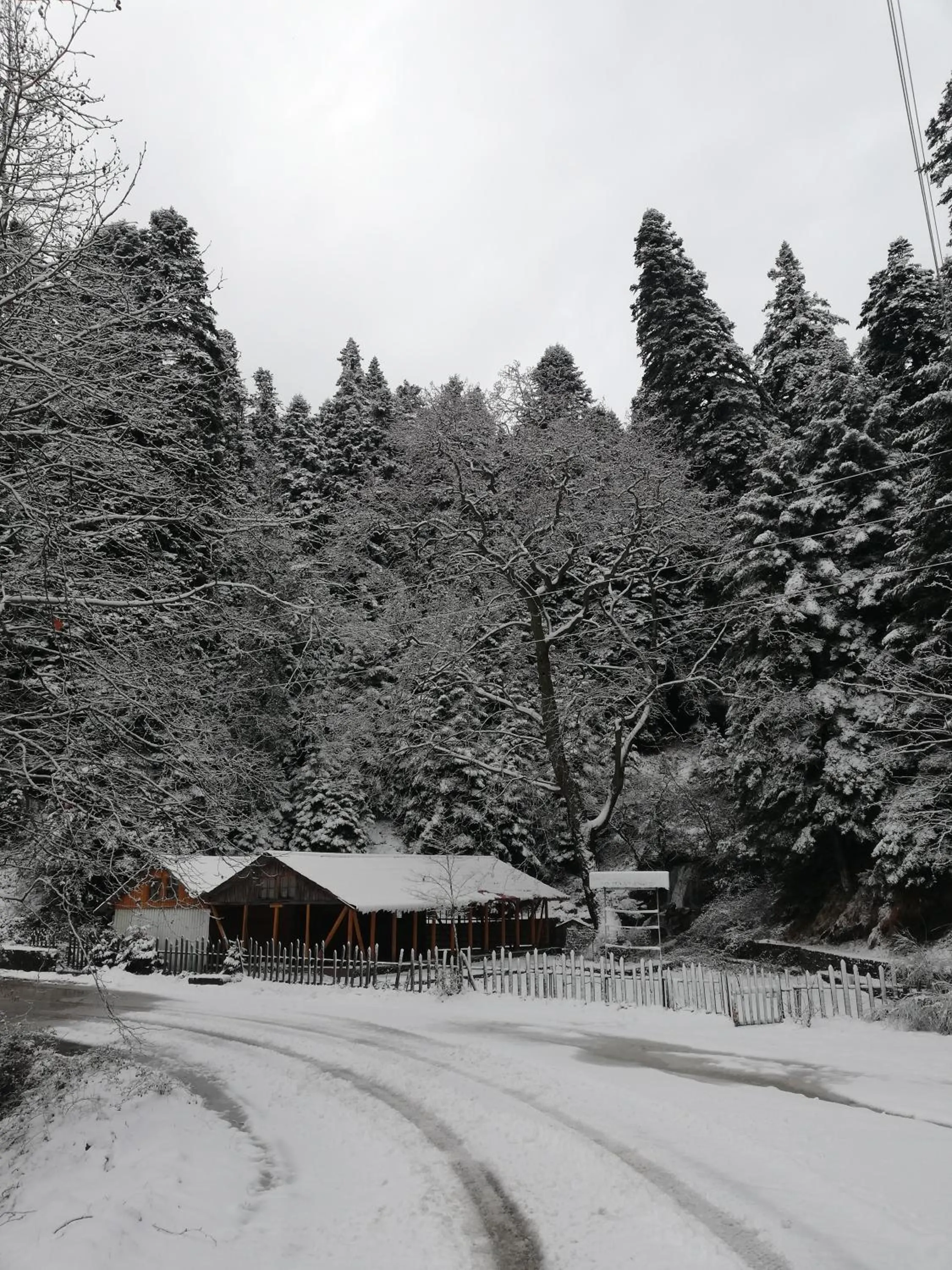 Day in Xenonas Kypseli