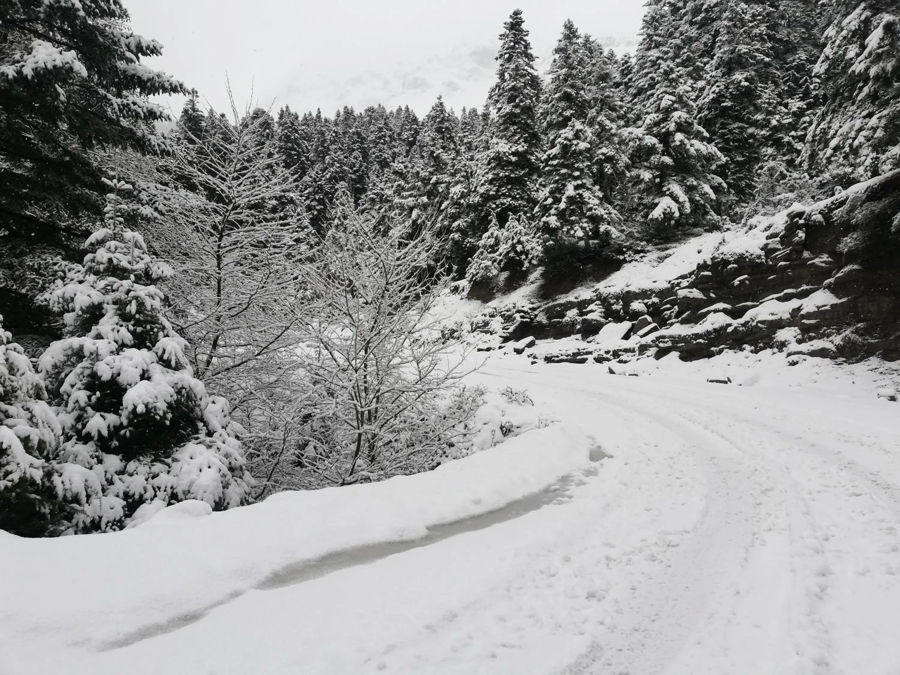 Natural landscape in Xenonas Kypseli