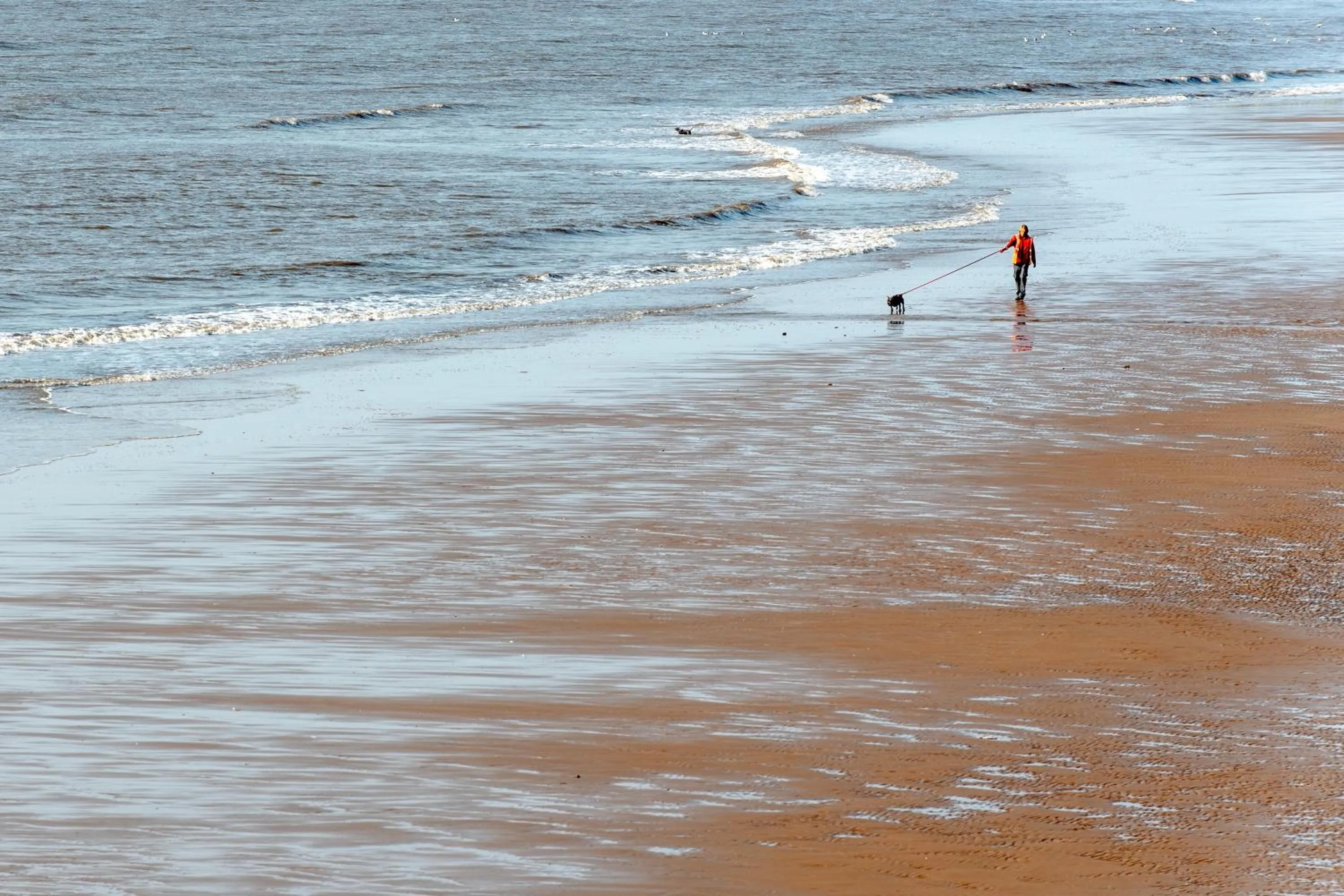Beach in The Headlands