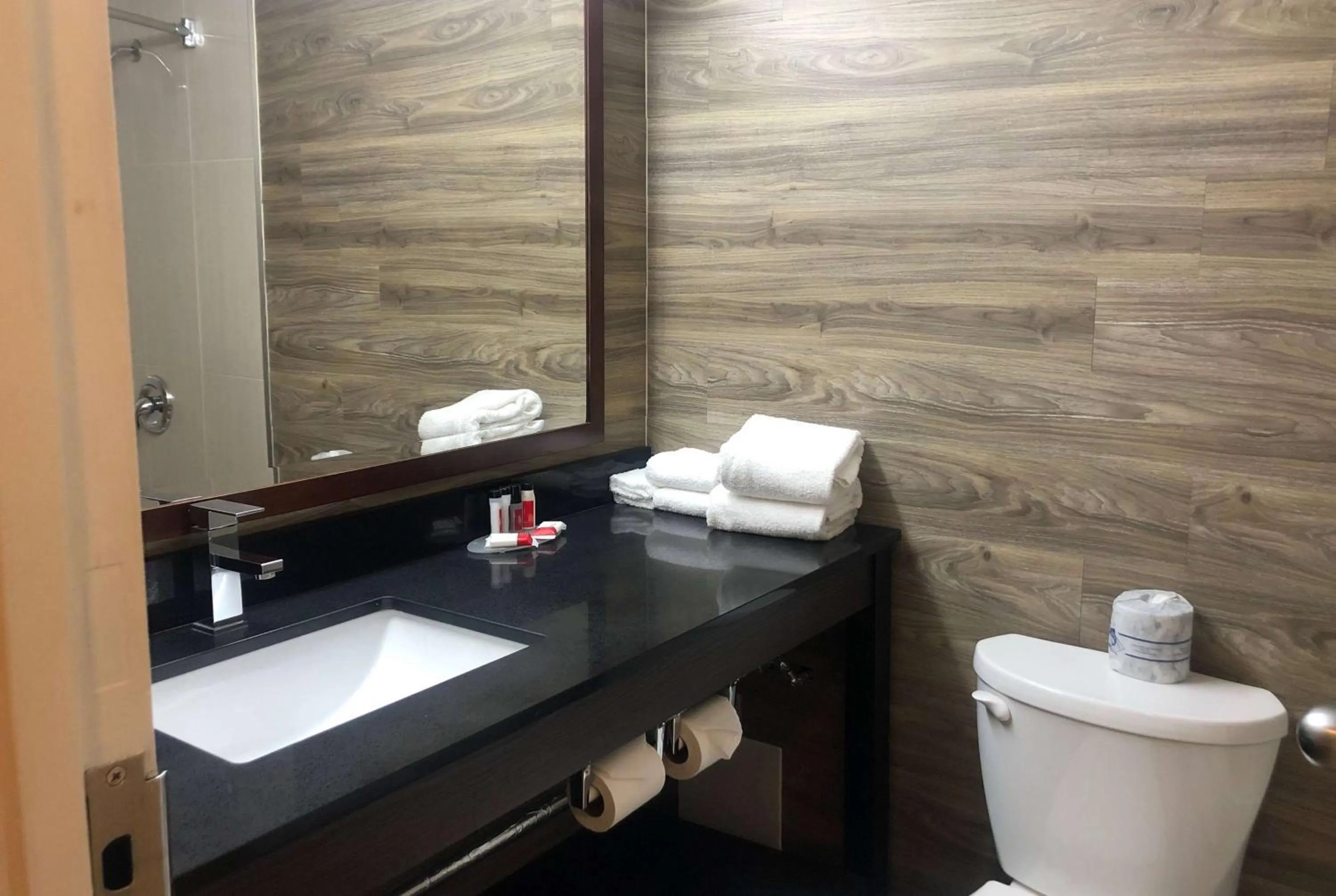 Bathroom in Ramada by Wyndham Lindsay