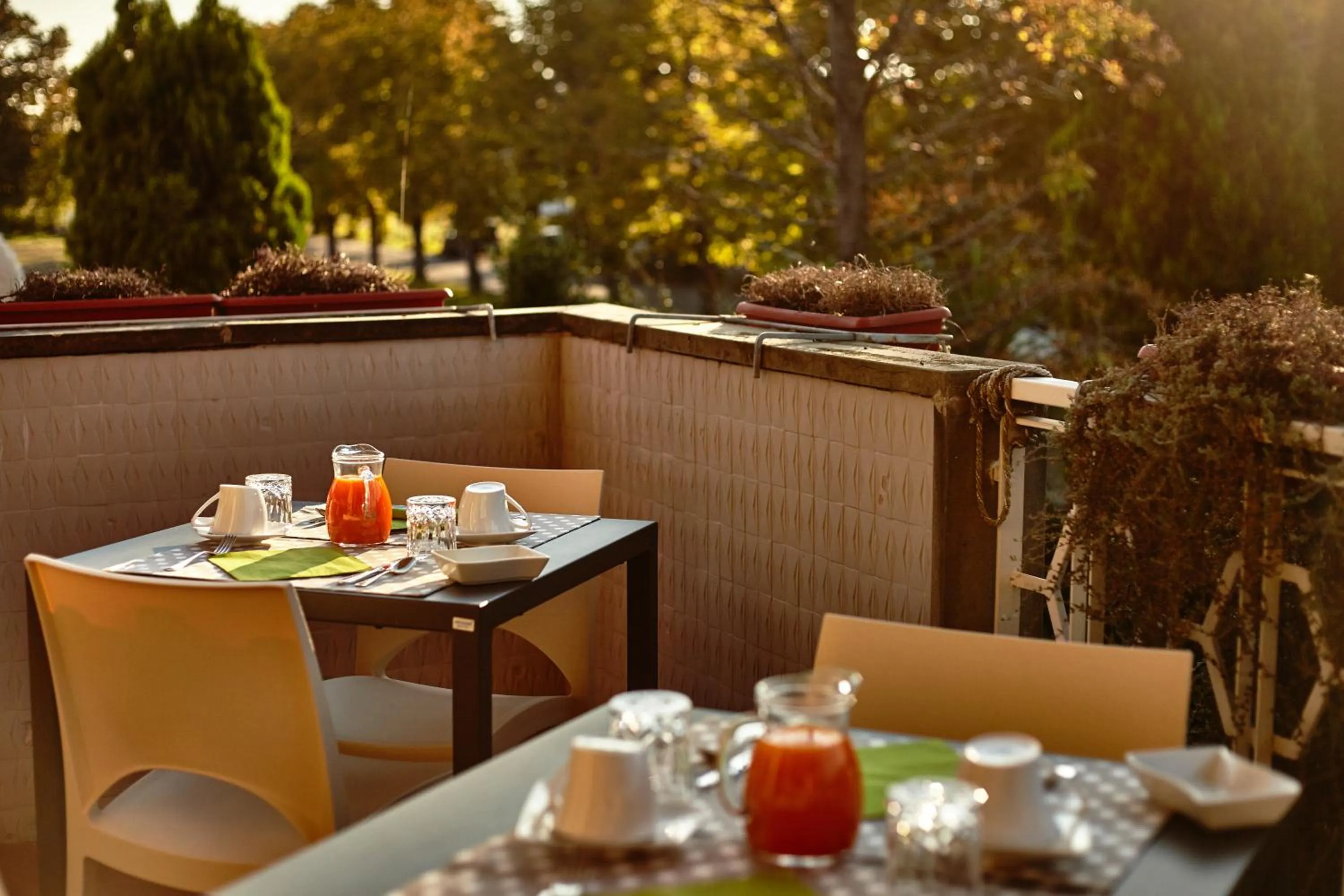 Day in La Dimora Del Bassotto