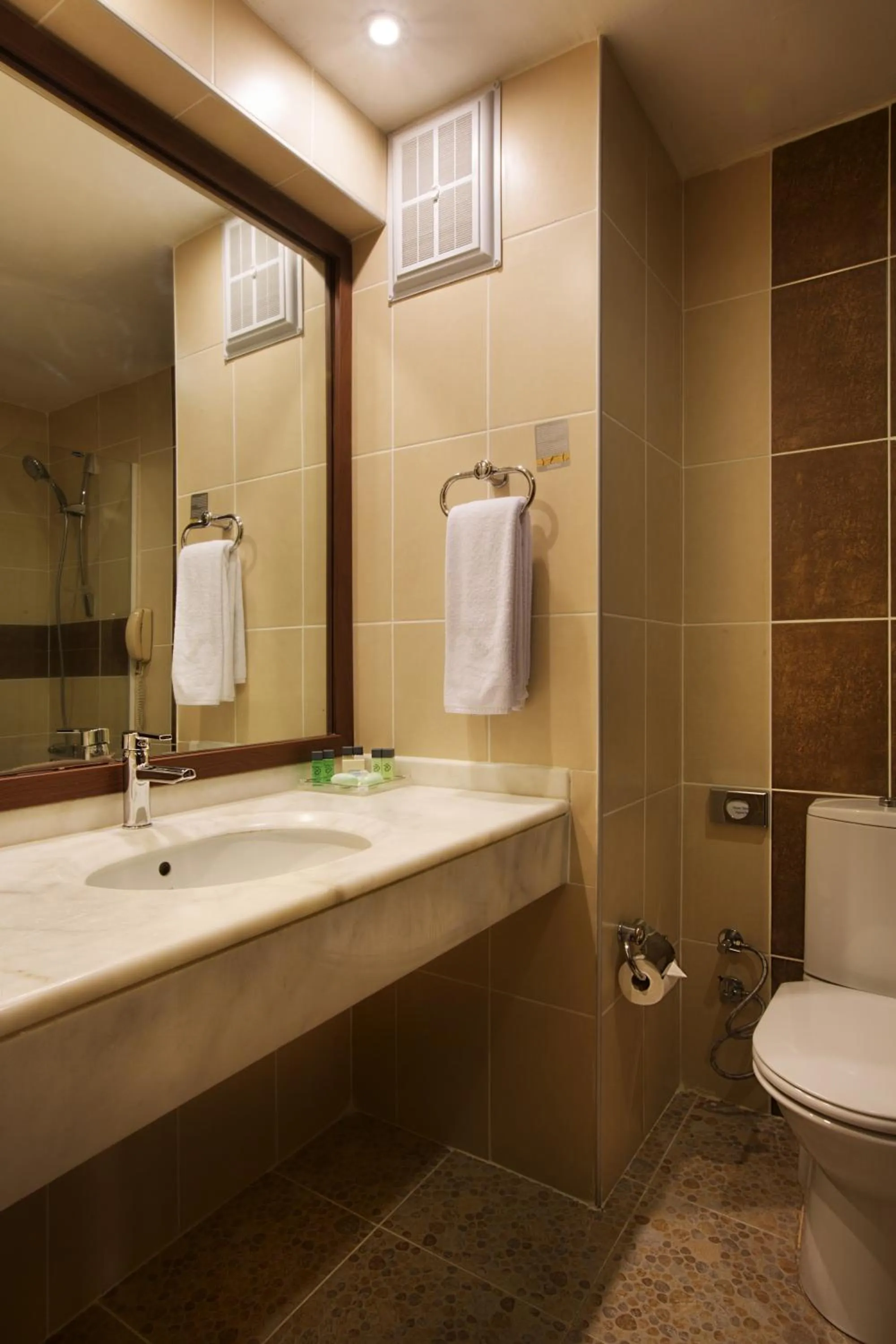 Bathroom in Dedeman Palandoken Resort Hotel