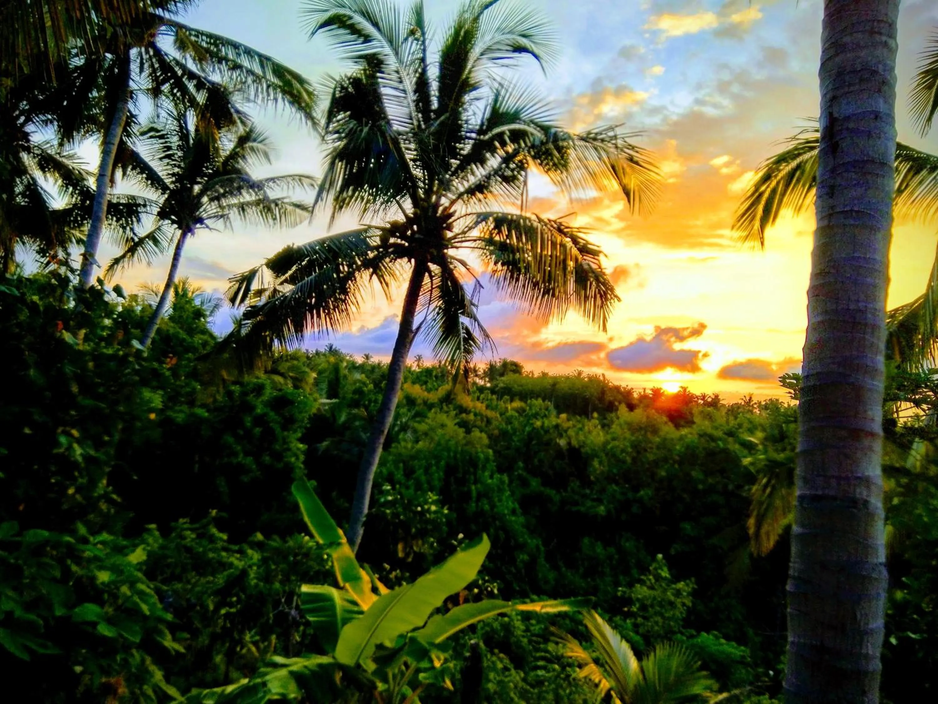 Natural landscape in Atuh Forest Cottage