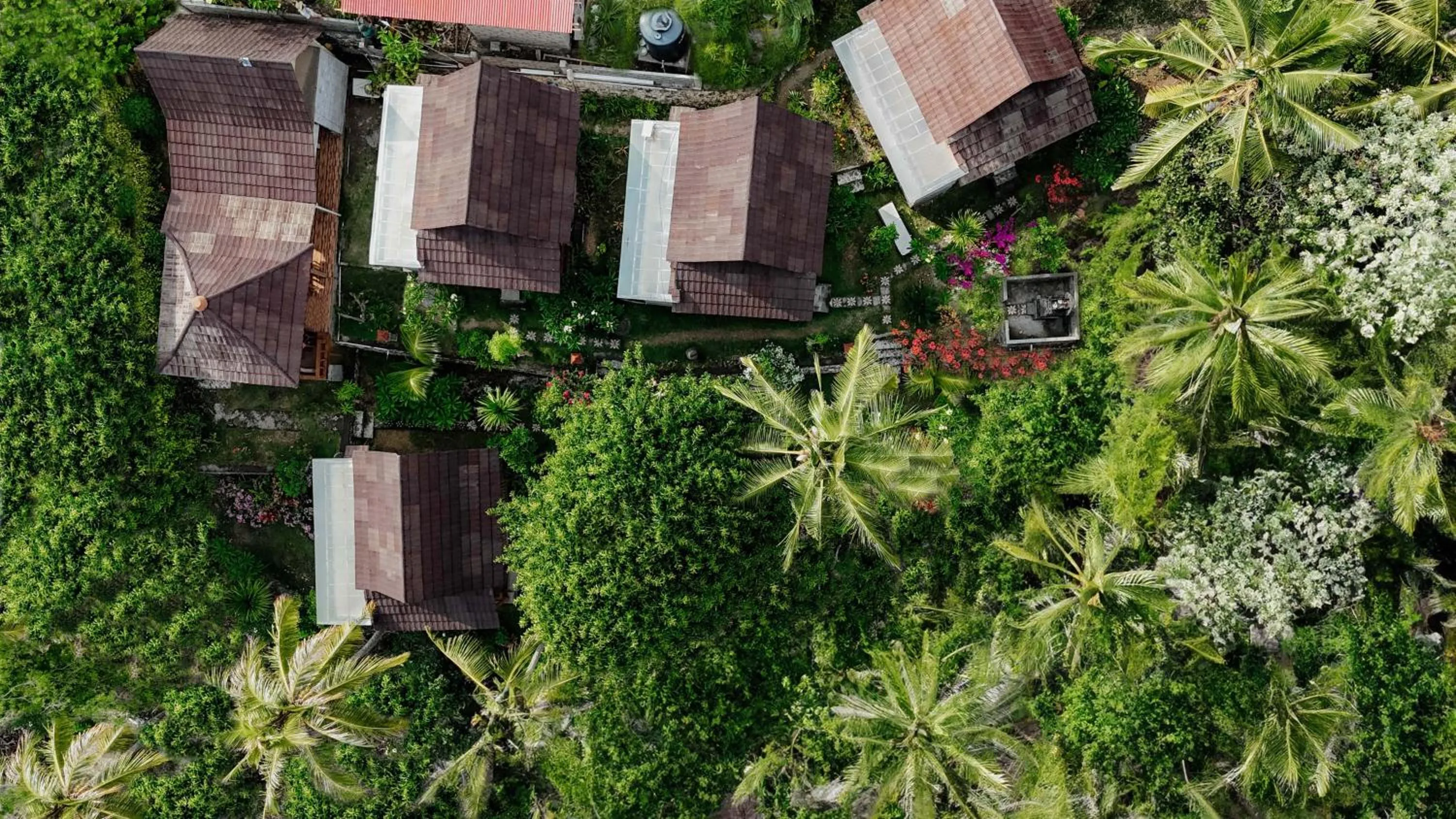 Other in Atuh Forest Cottage