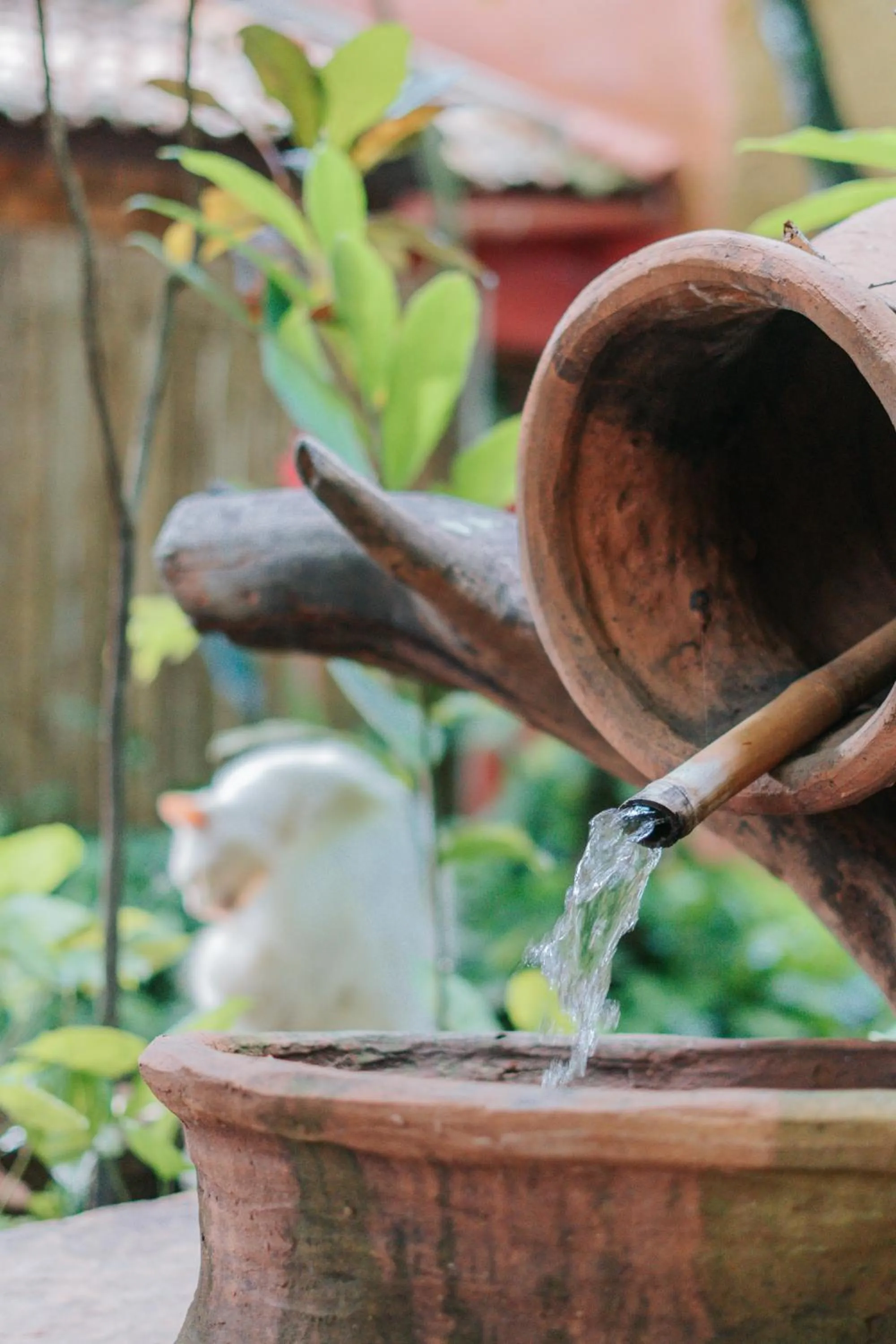 Decorative detail in Pousada Fruta Pão
