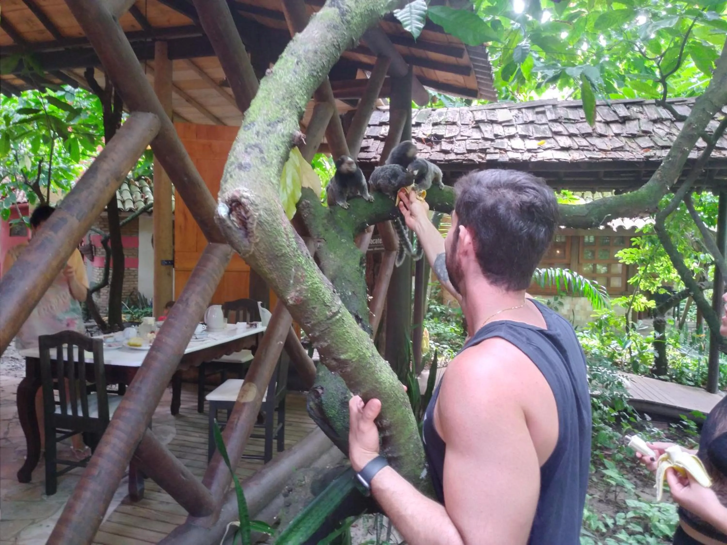 Garden view in Pousada Fruta Pão