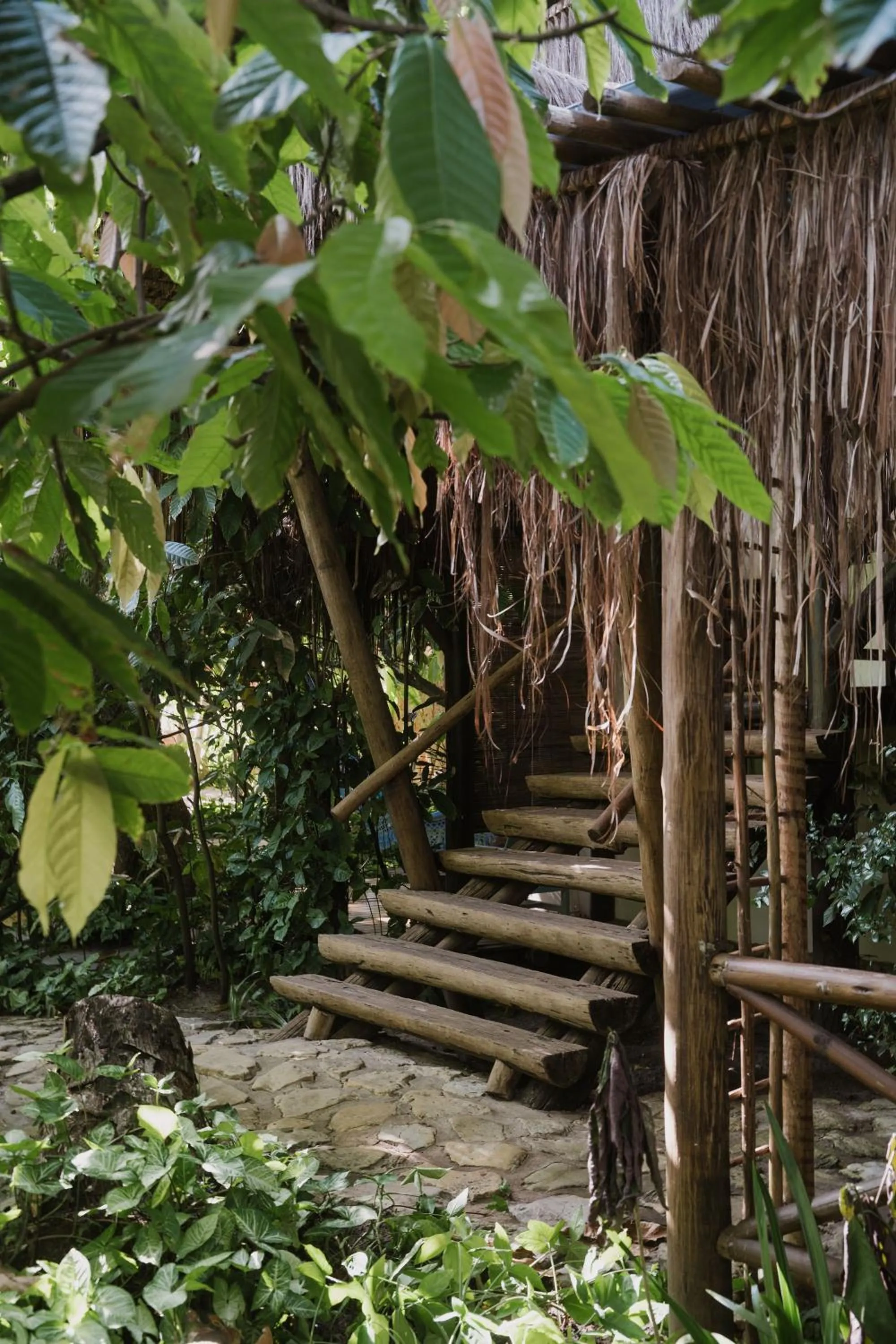 Garden view in Pousada Fruta Pão