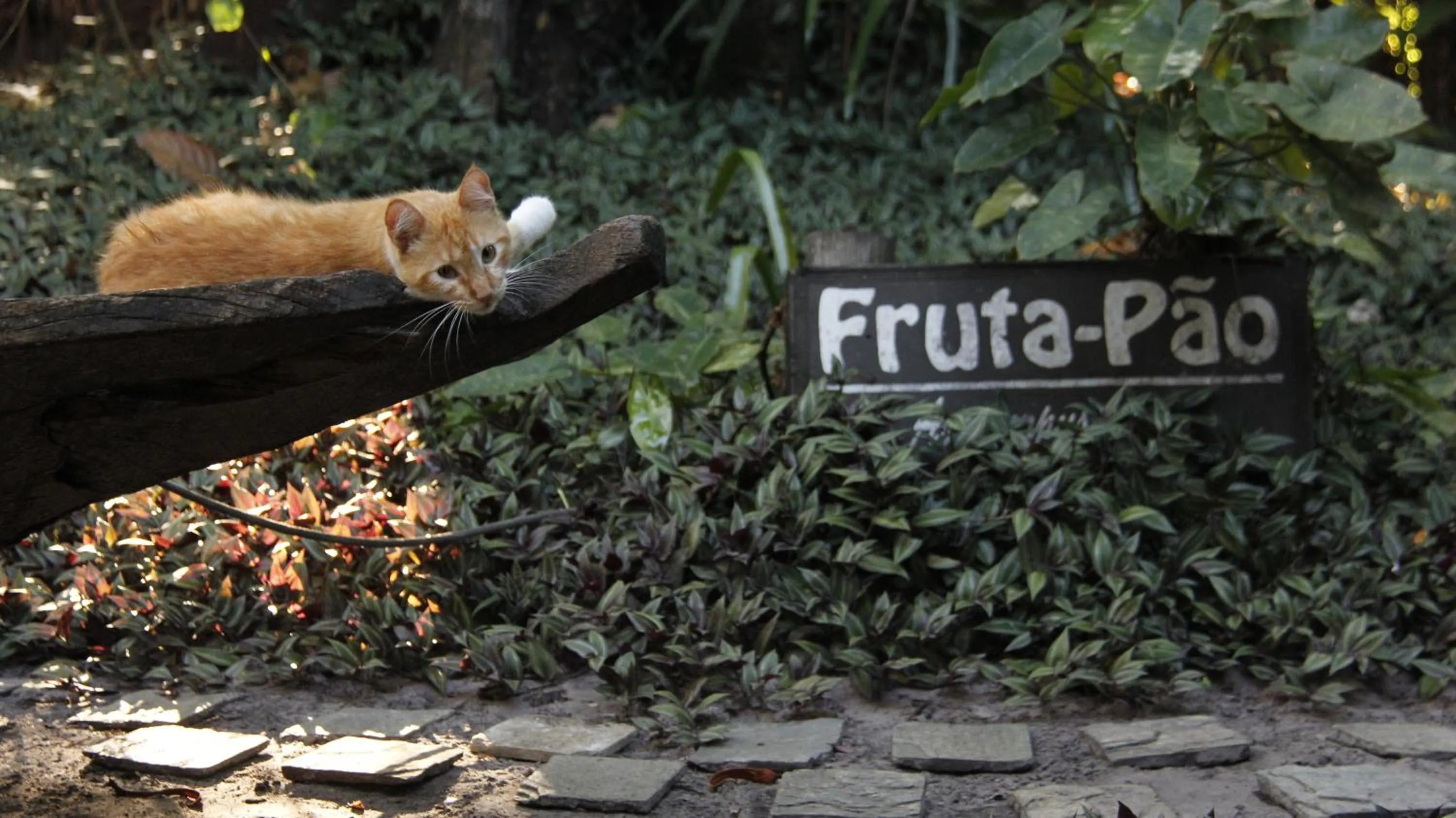 Garden in Pousada Fruta Pão