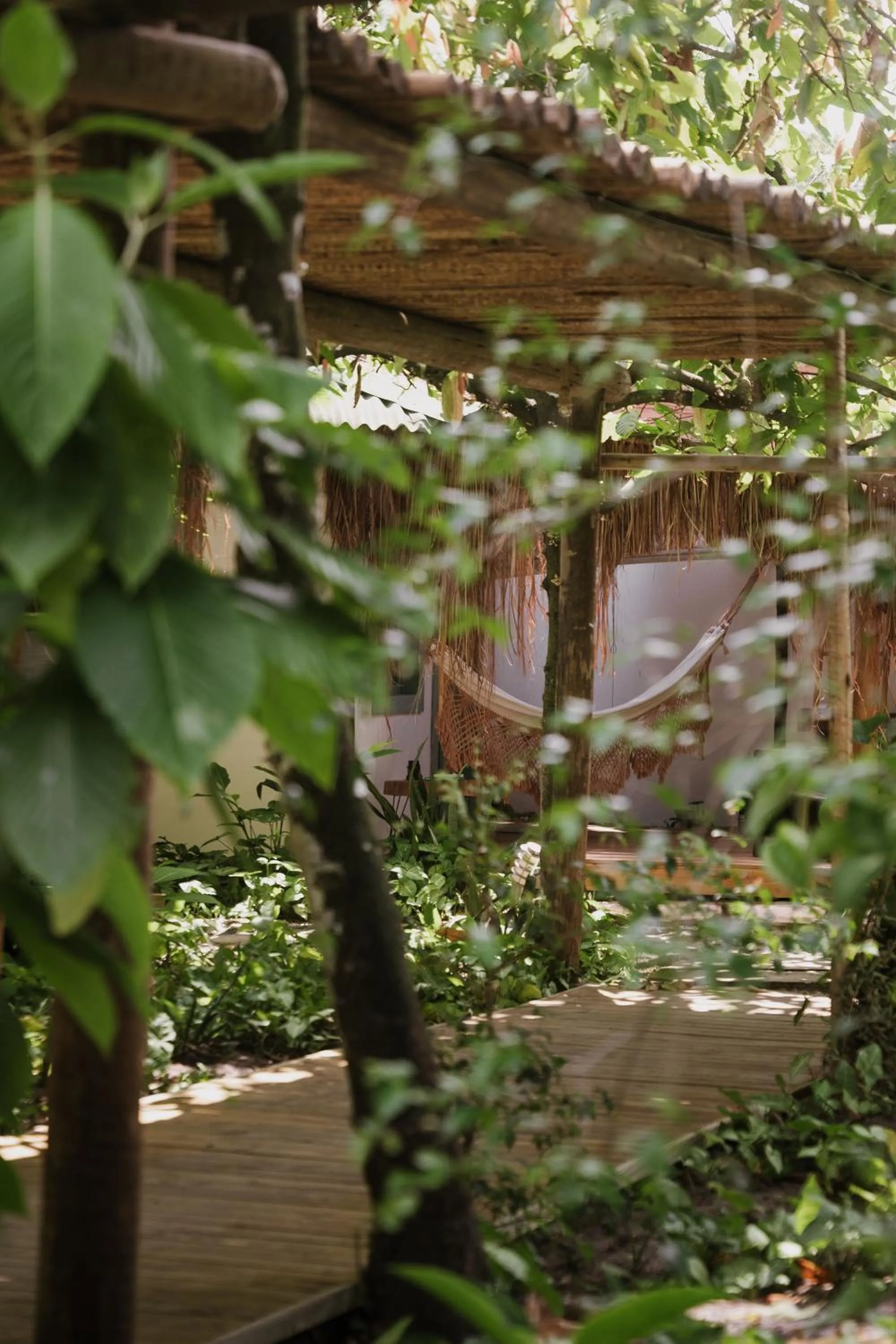 Garden view in Pousada Fruta Pão