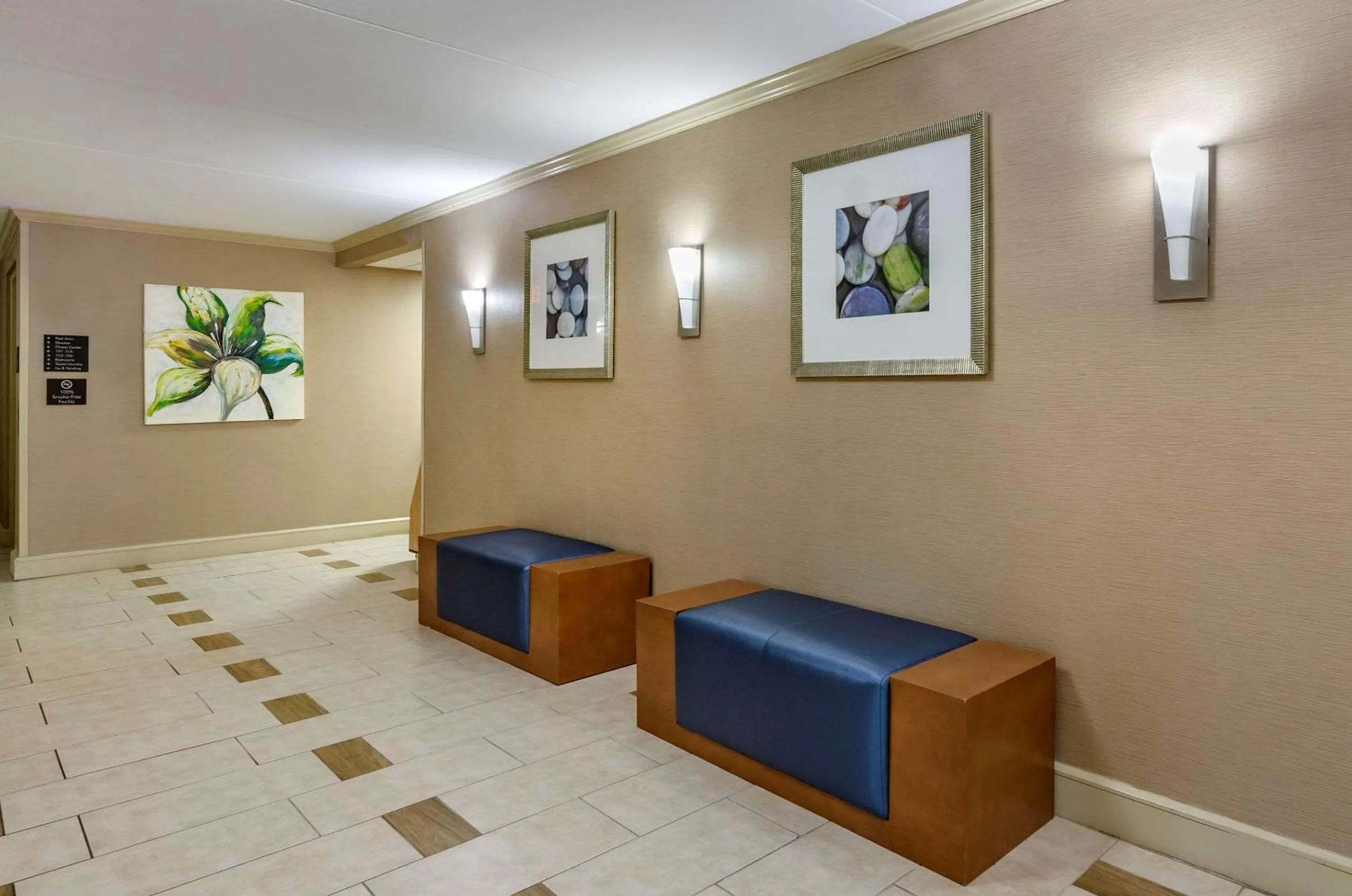 Lobby or reception in Comfort Inn Roanoke Civic Center