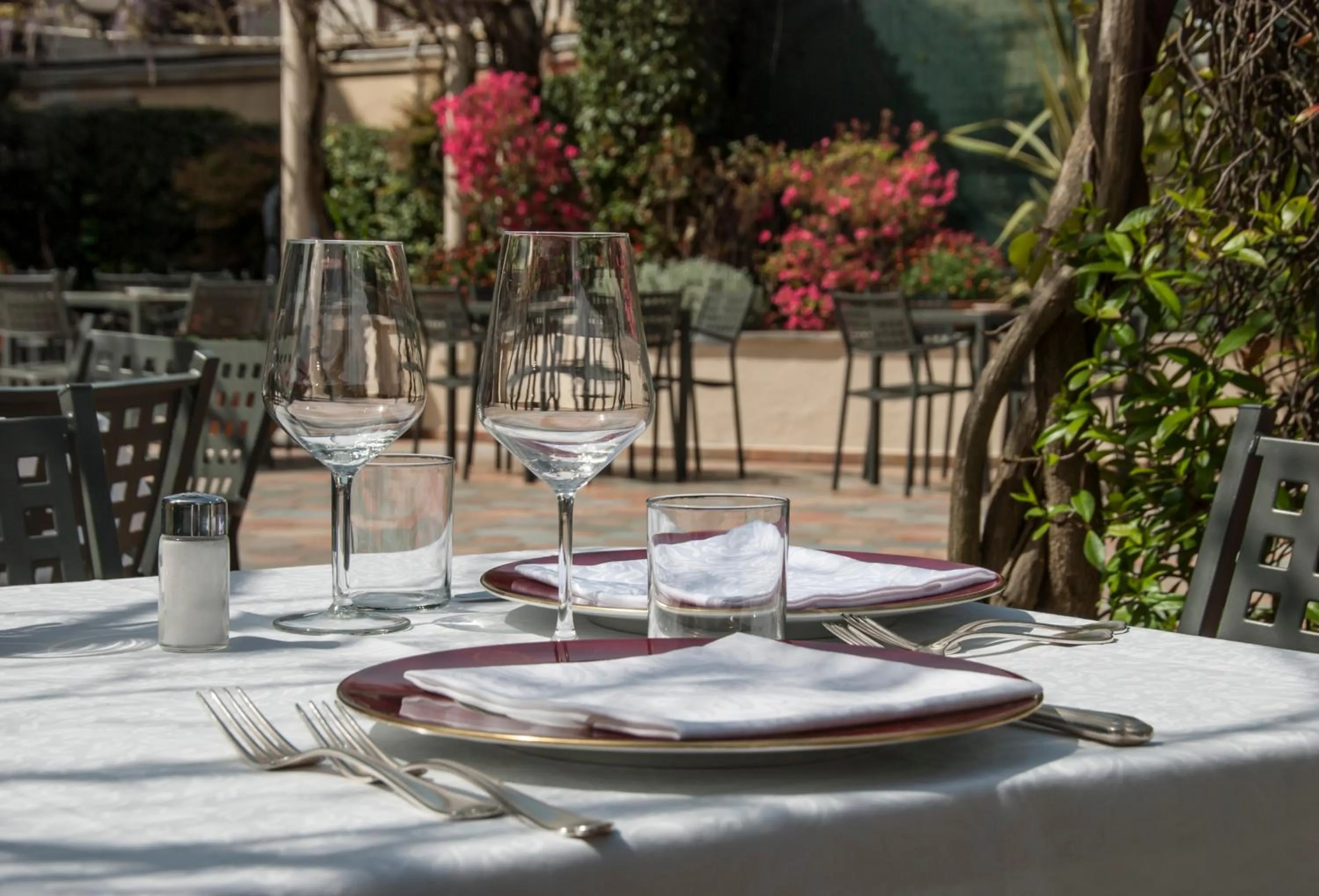 Garden in Hotel Settentrionale Esplanade