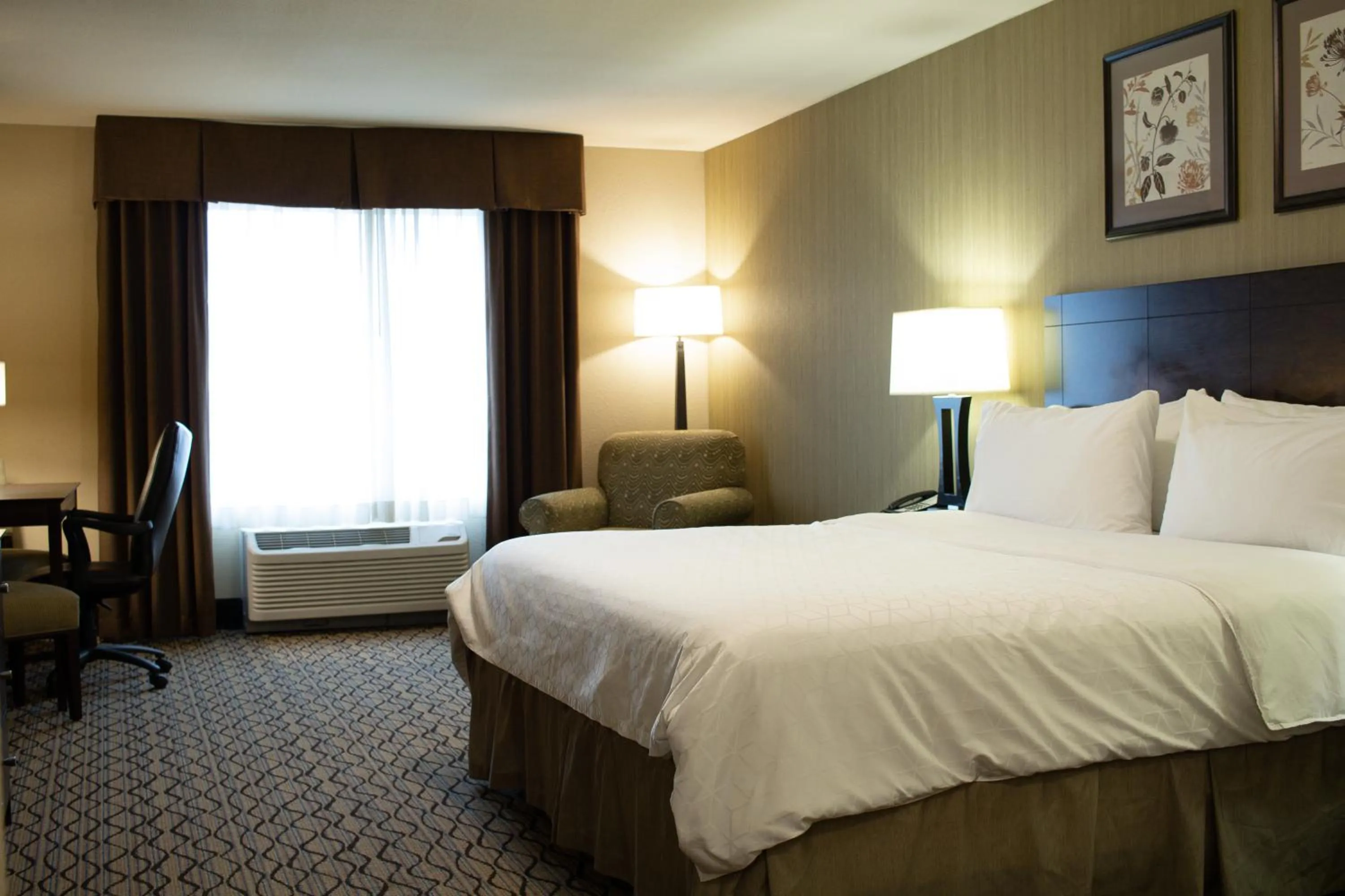 Bed in Holiday Inn Express & Suites - Williston by IHG