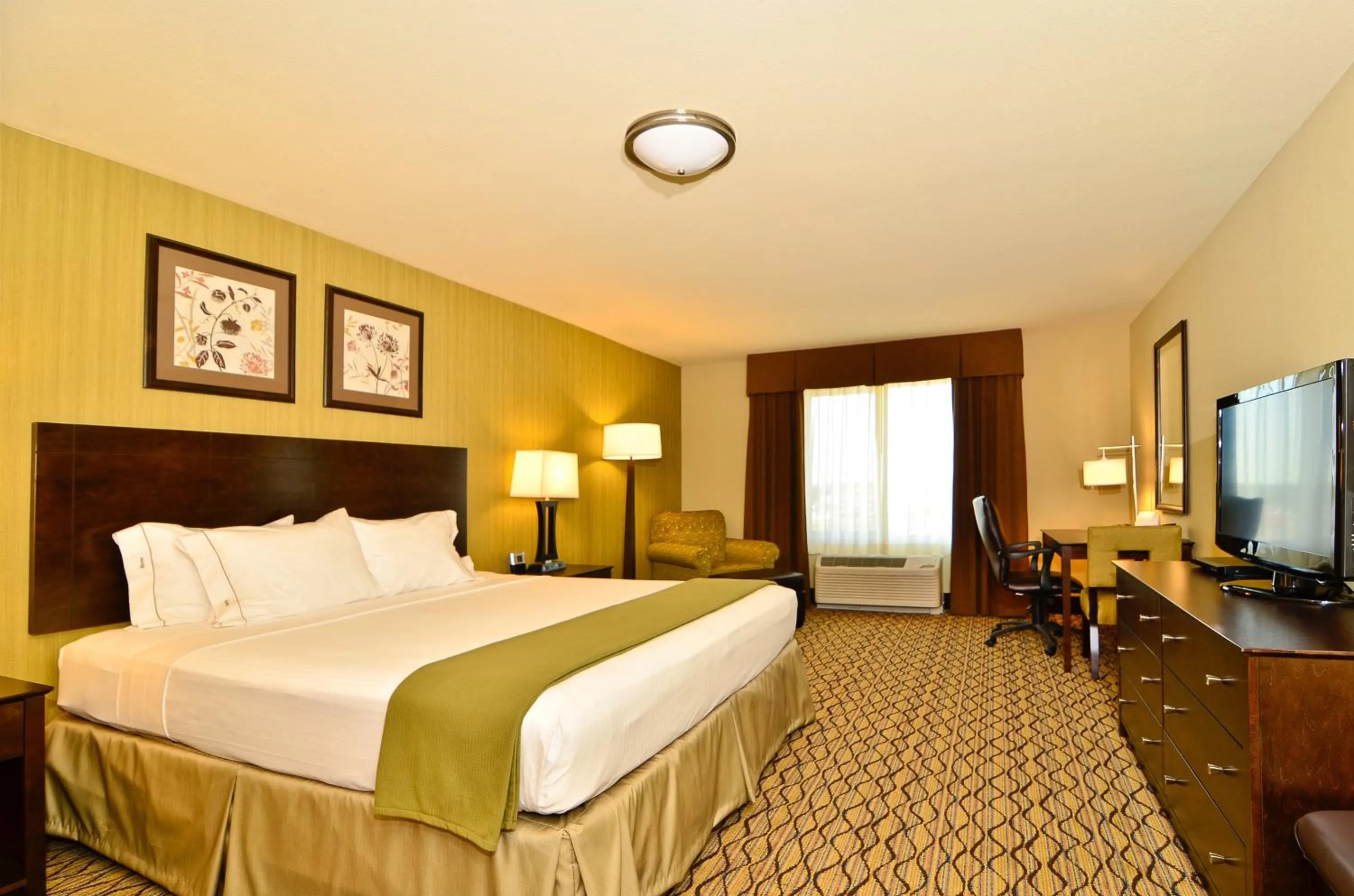 Photo of the whole room, Bed in Holiday Inn Express & Suites - Williston by IHG