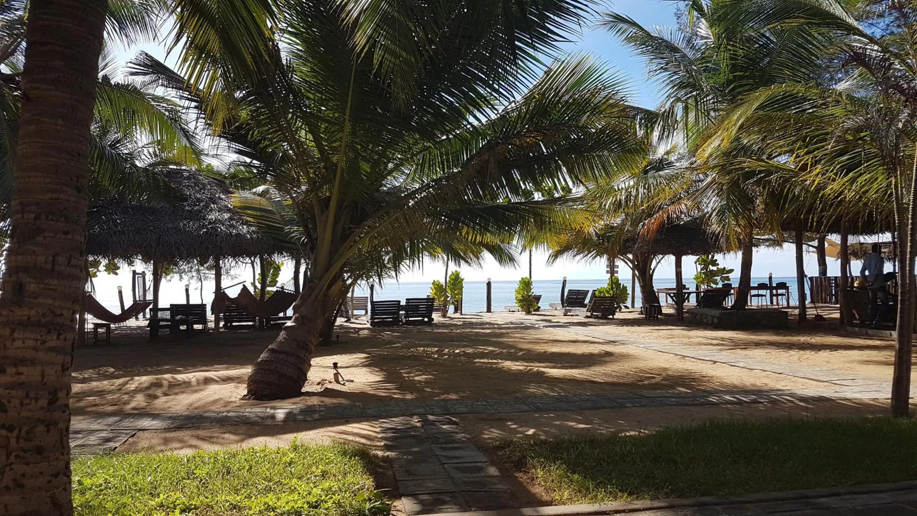 Garden in Sandy Beach Hotel