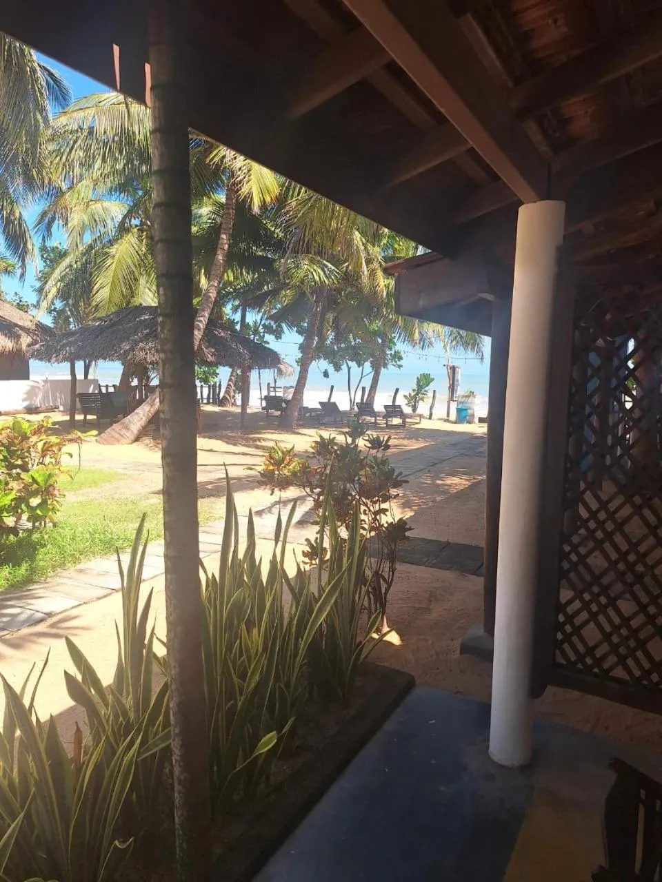 Garden view in Sandy Beach Hotel