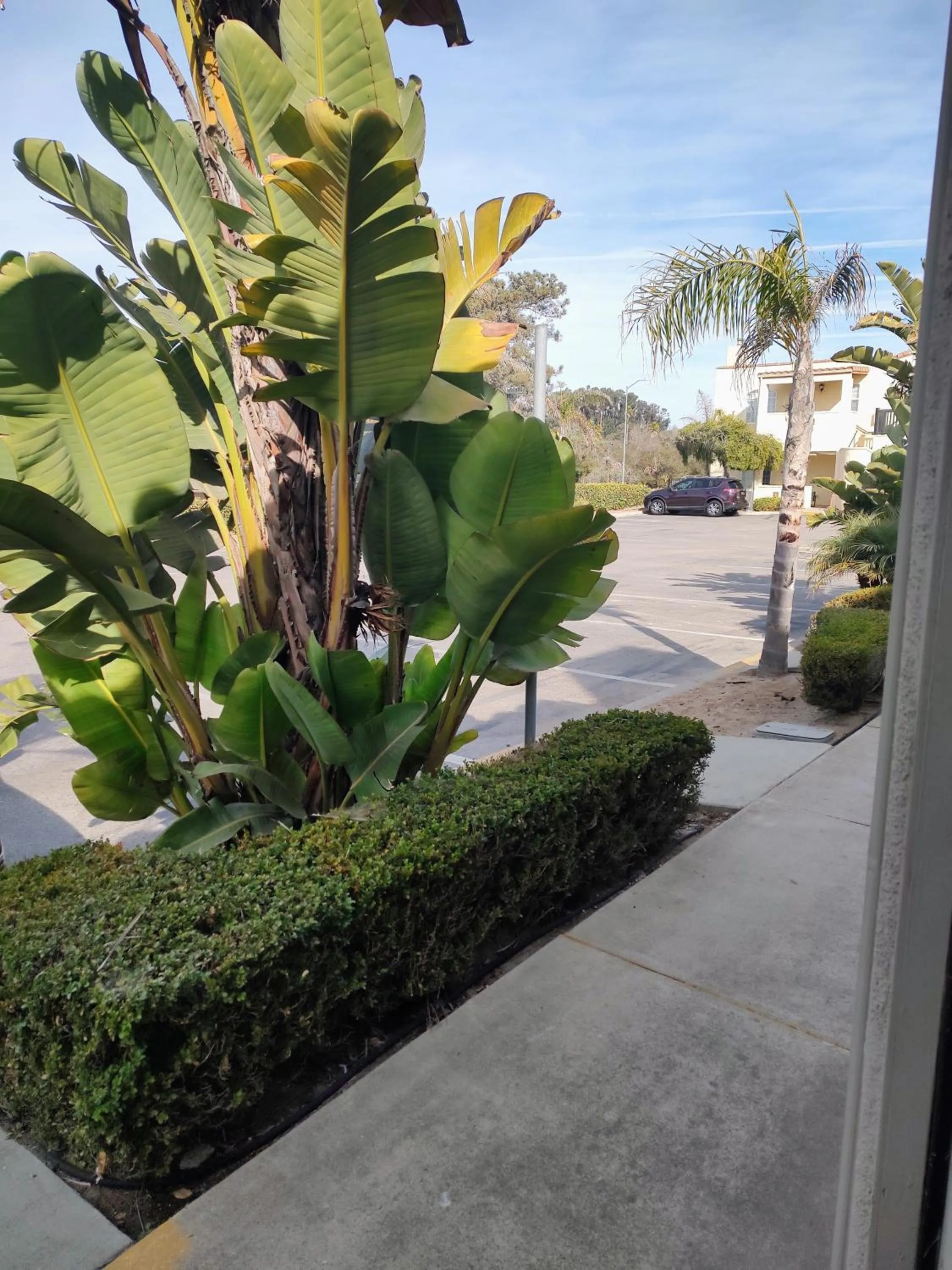 Hot Tub in Pacific Plaza Resort