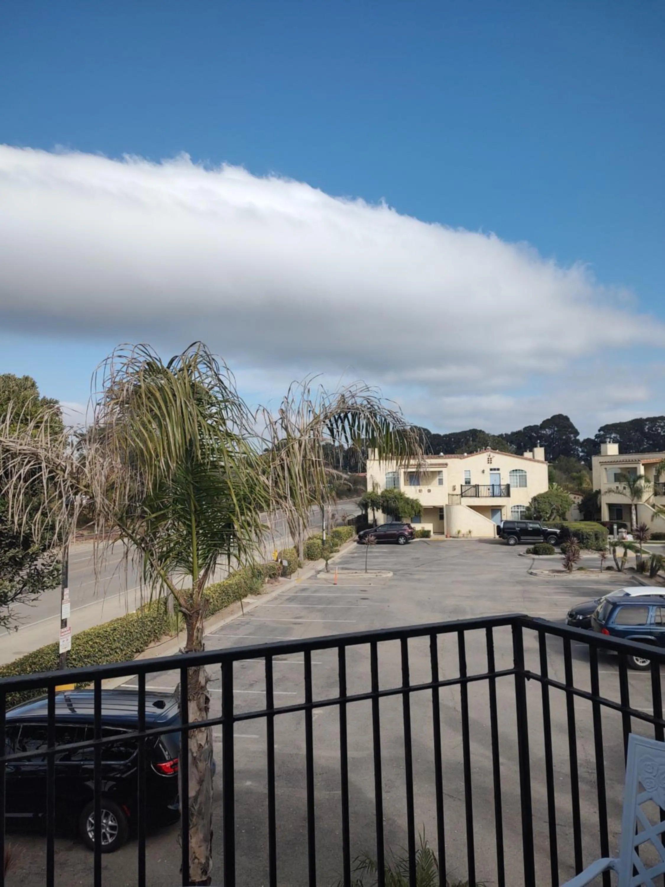 View (from property/room) in Pacific Plaza Resort