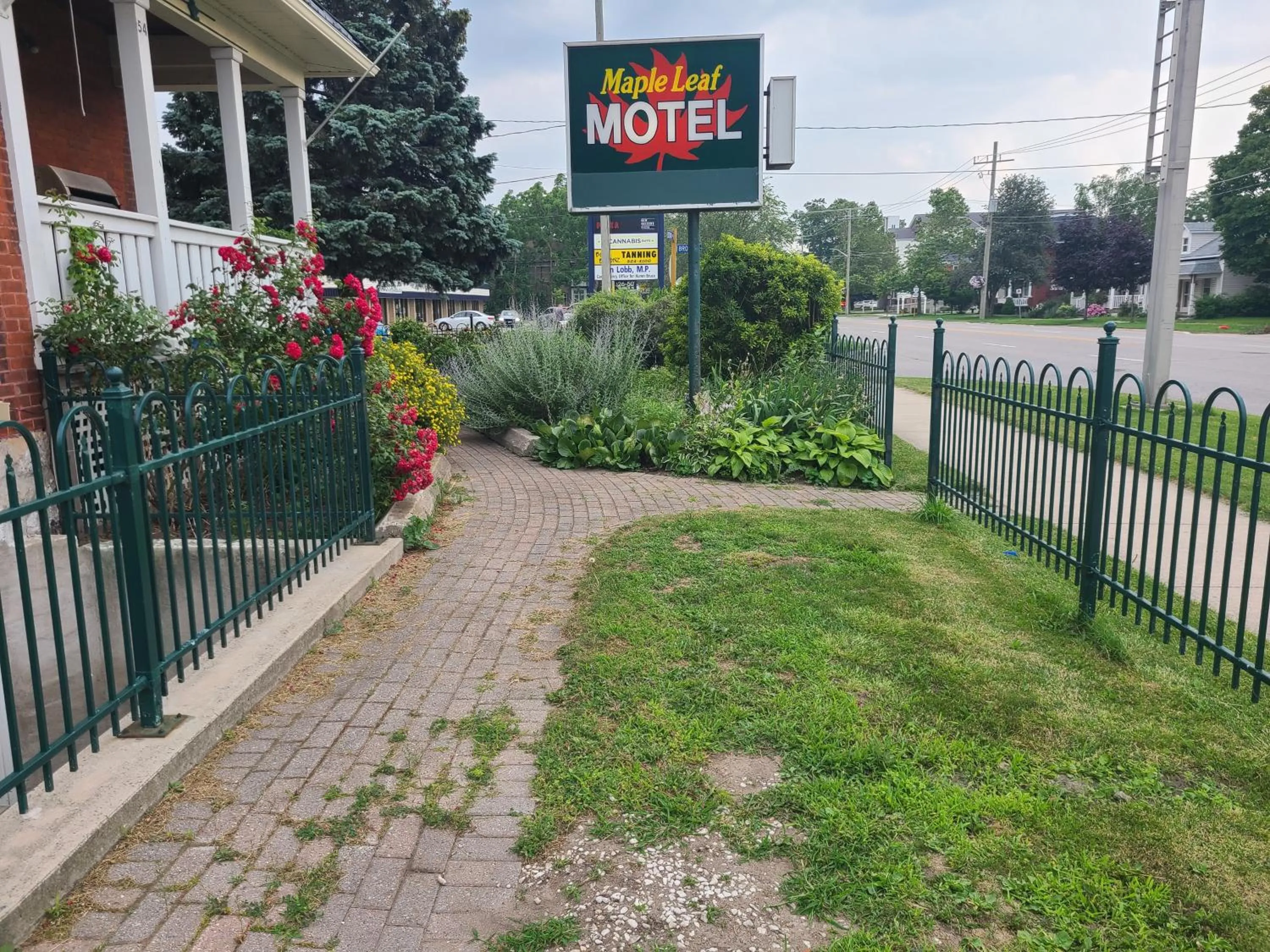 Property logo or sign in Maple Leaf Motel