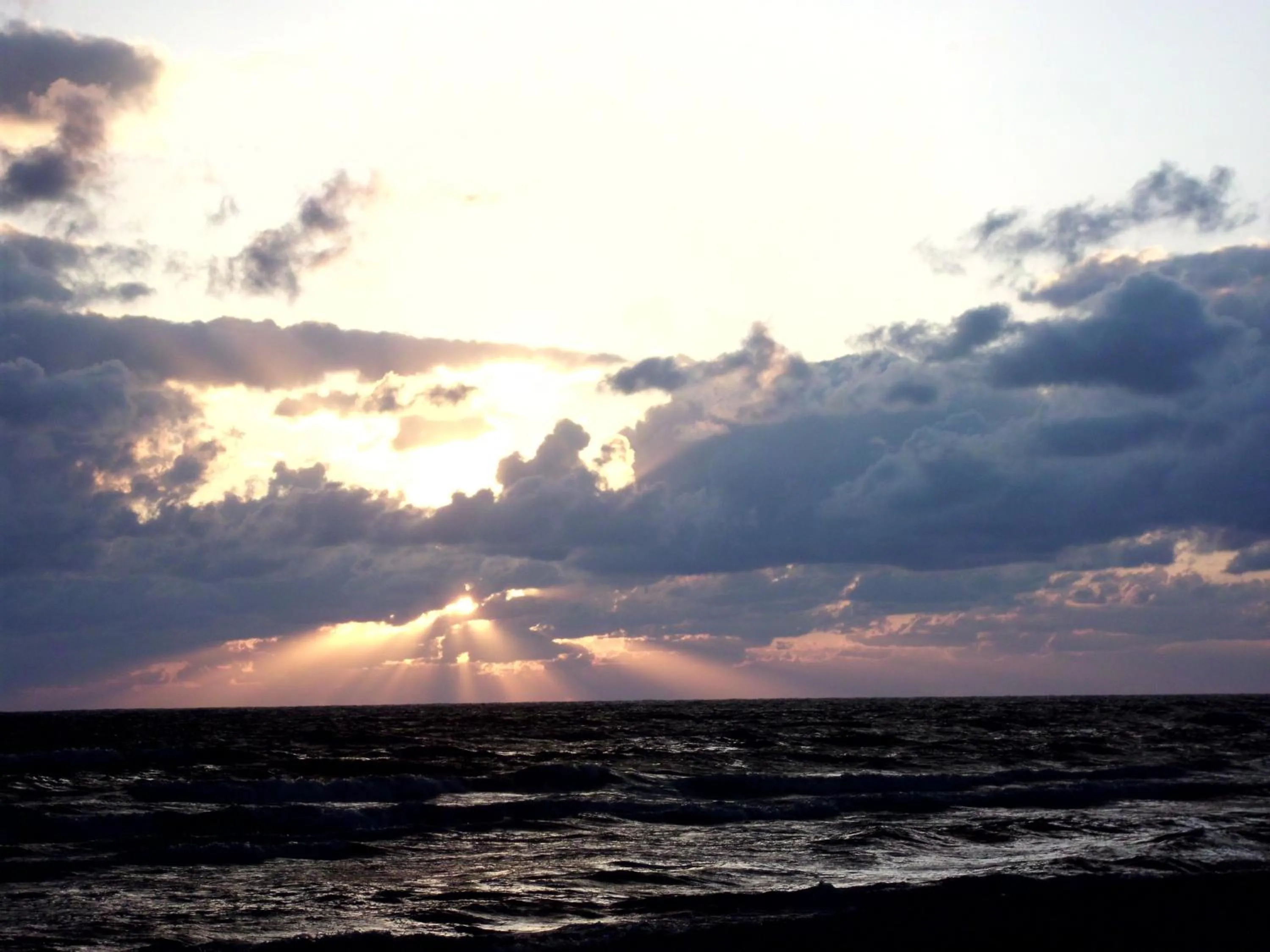 Natural landscape in Turtle Crawl Inn - Longboat Key