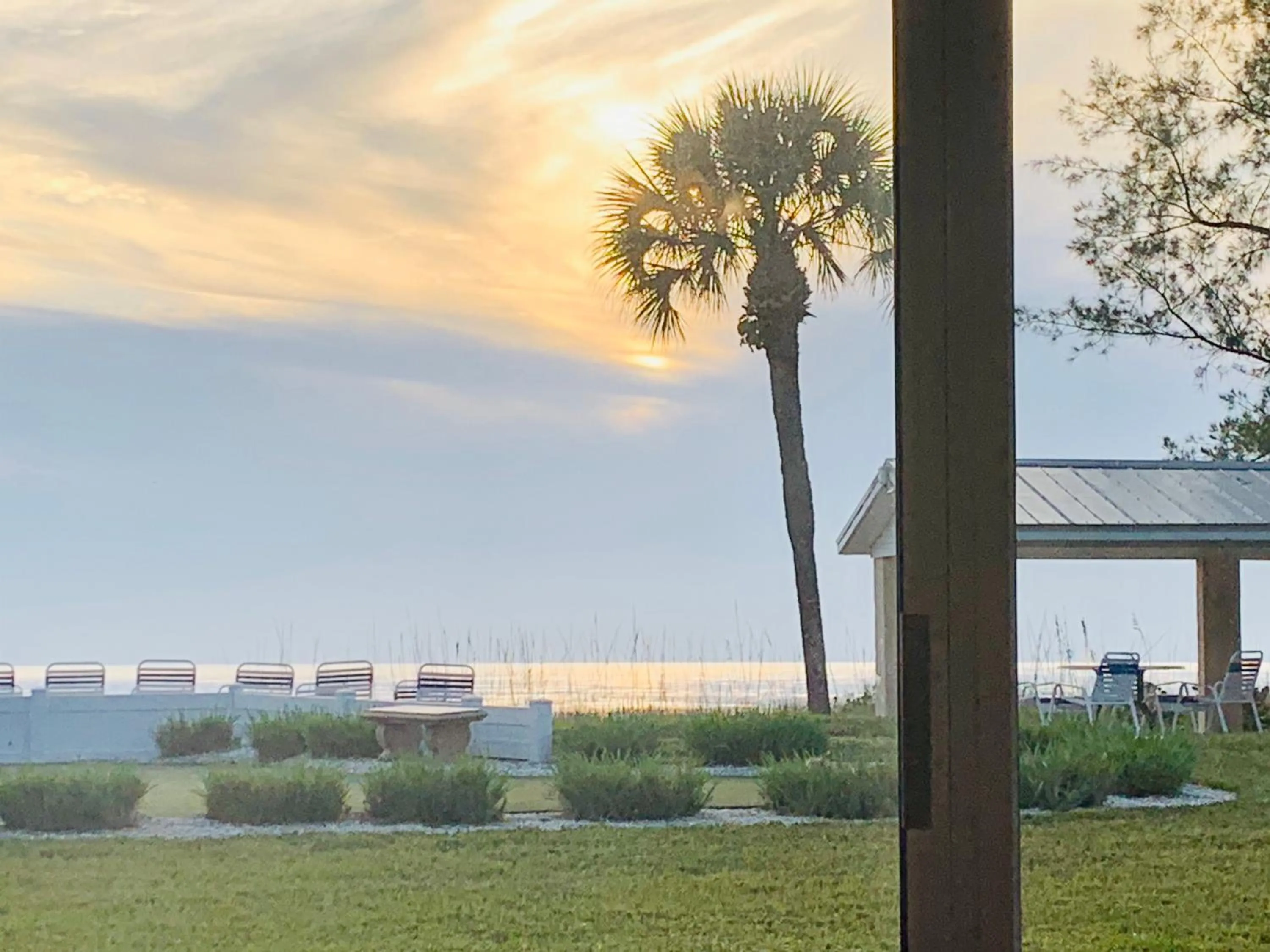 Natural landscape in Turtle Crawl Inn - Longboat Key