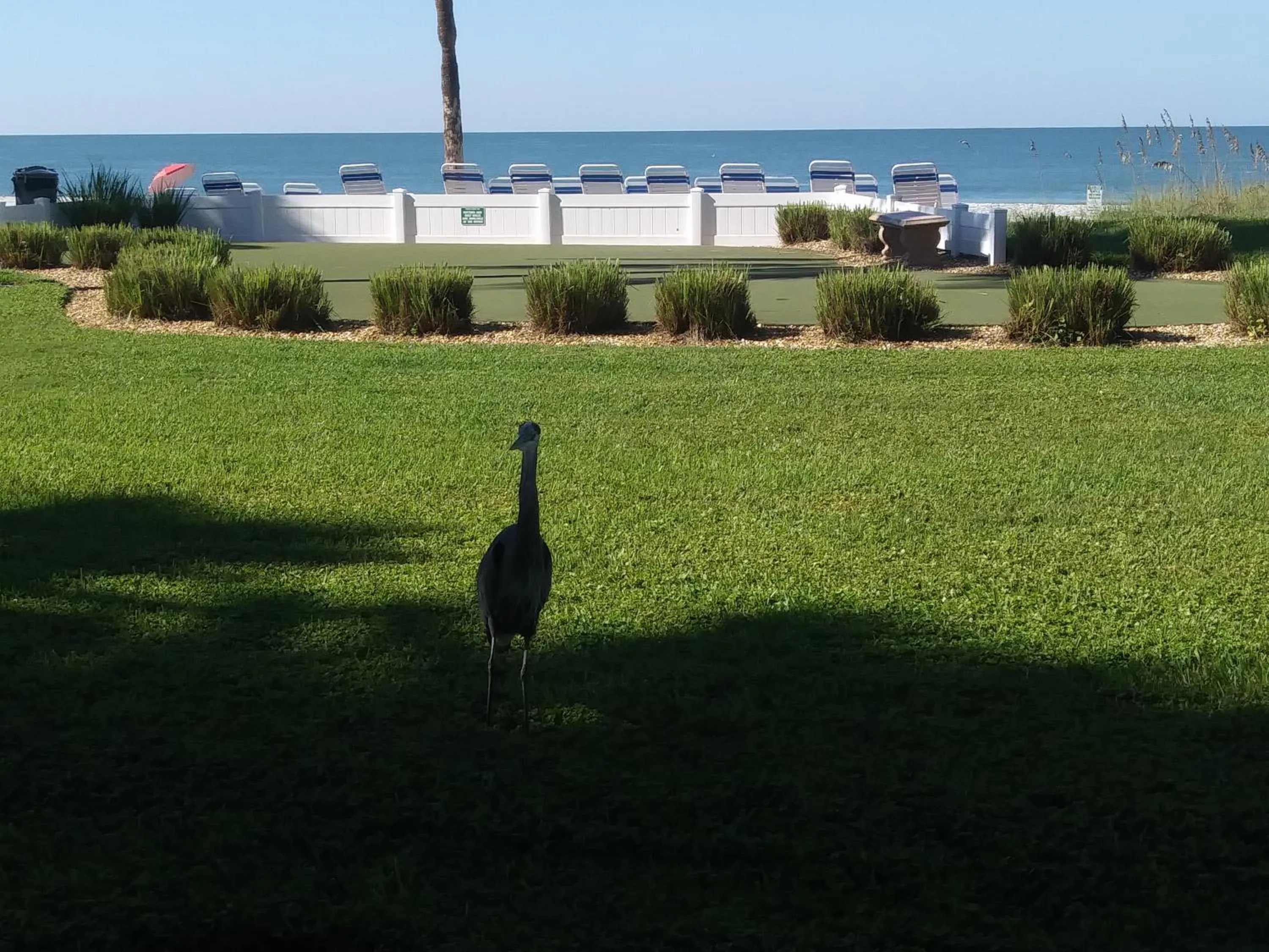Patio in Turtle Crawl Inn - Longboat Key