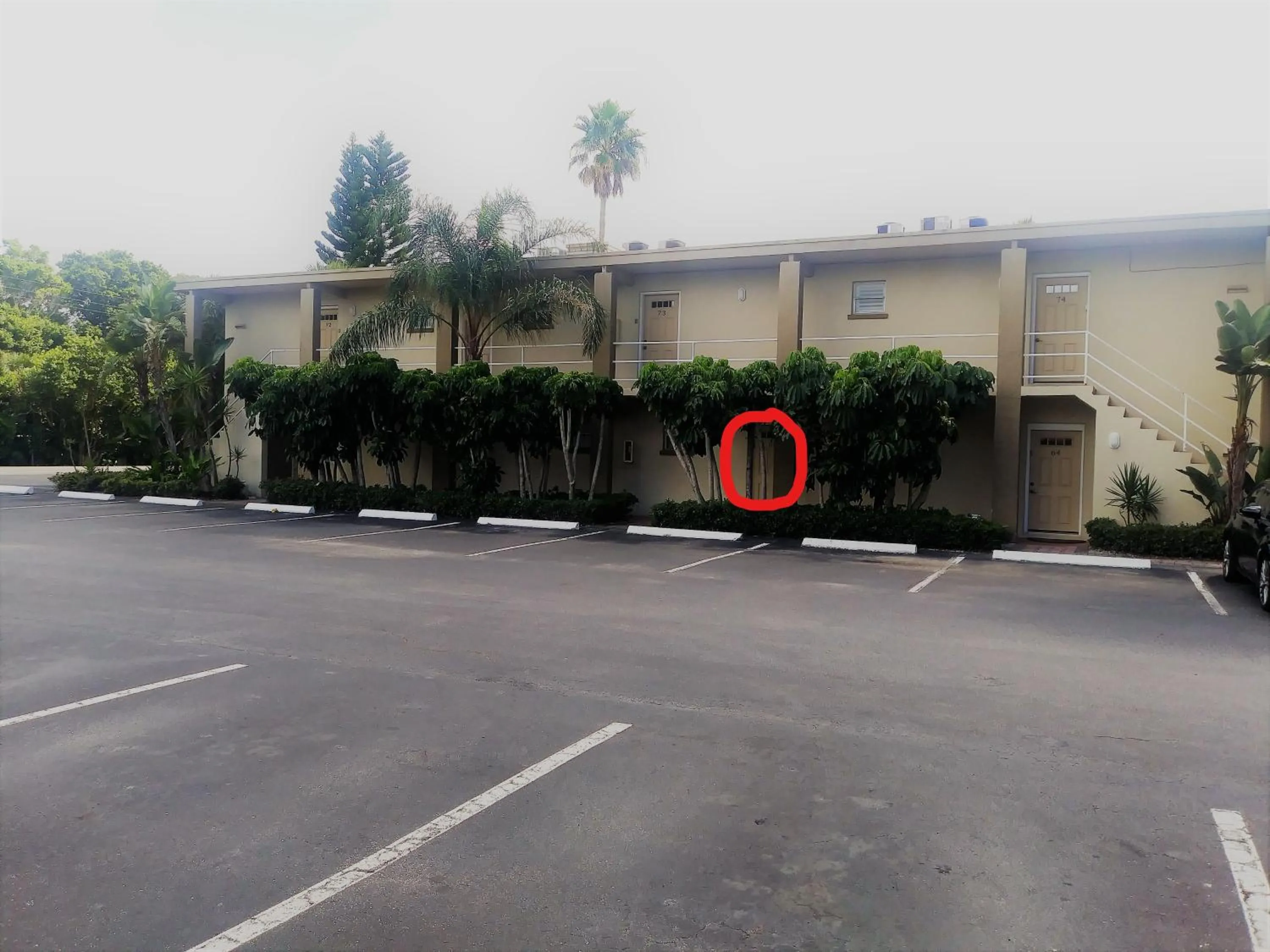 Garden in Turtle Crawl Inn - Longboat Key