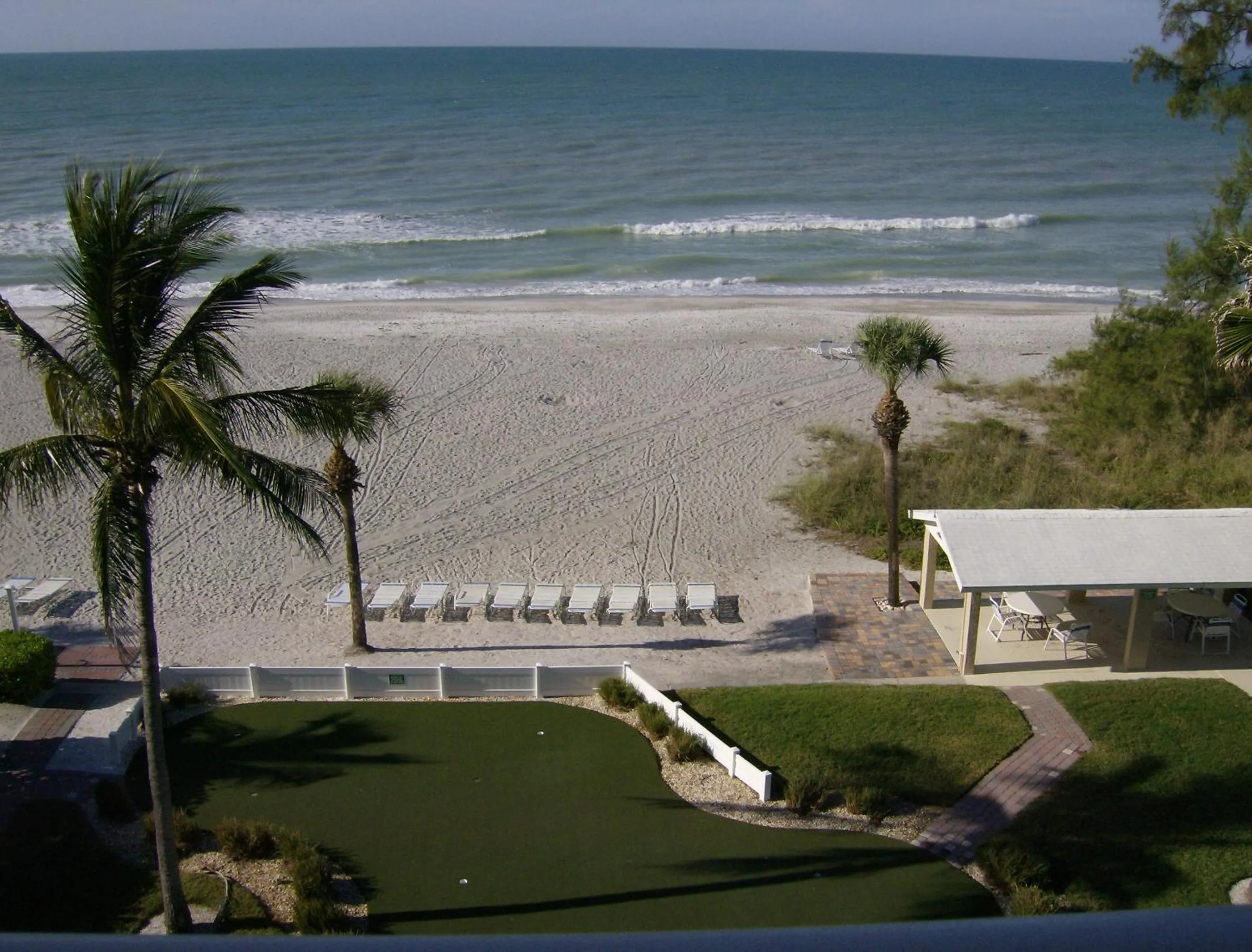 Day in Turtle Crawl Inn - Longboat Key