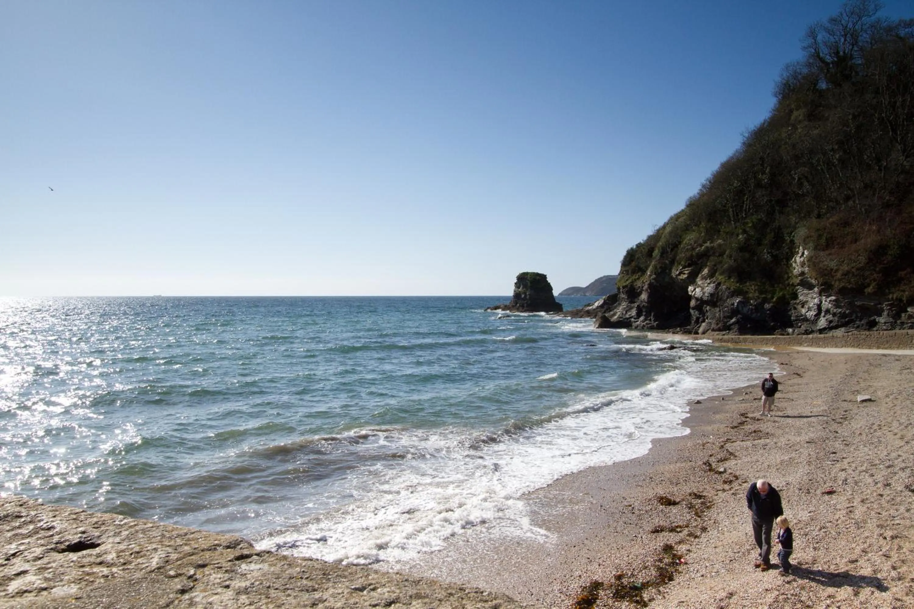 Area and facilities in Rashleigh Arms