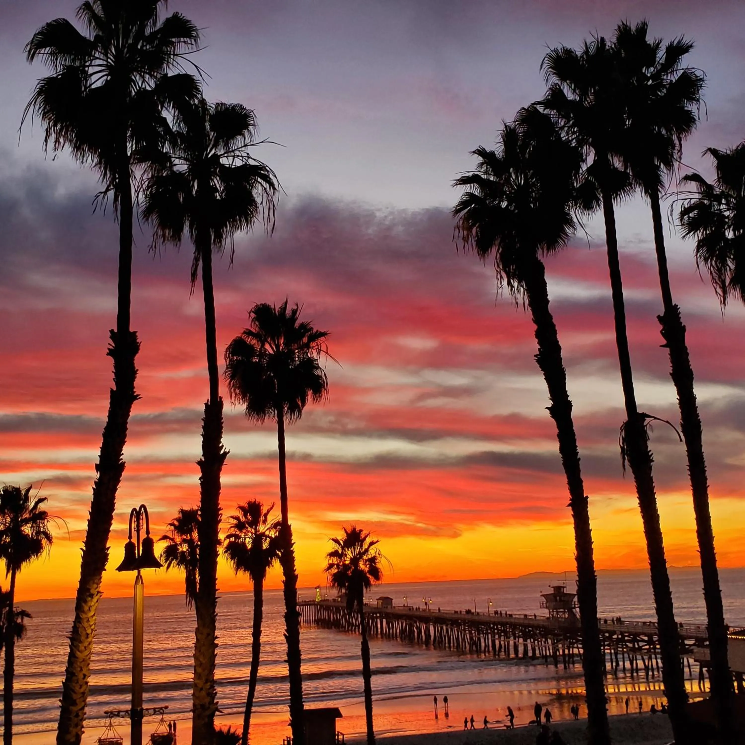 View (from property/room) in Casa Tropicana