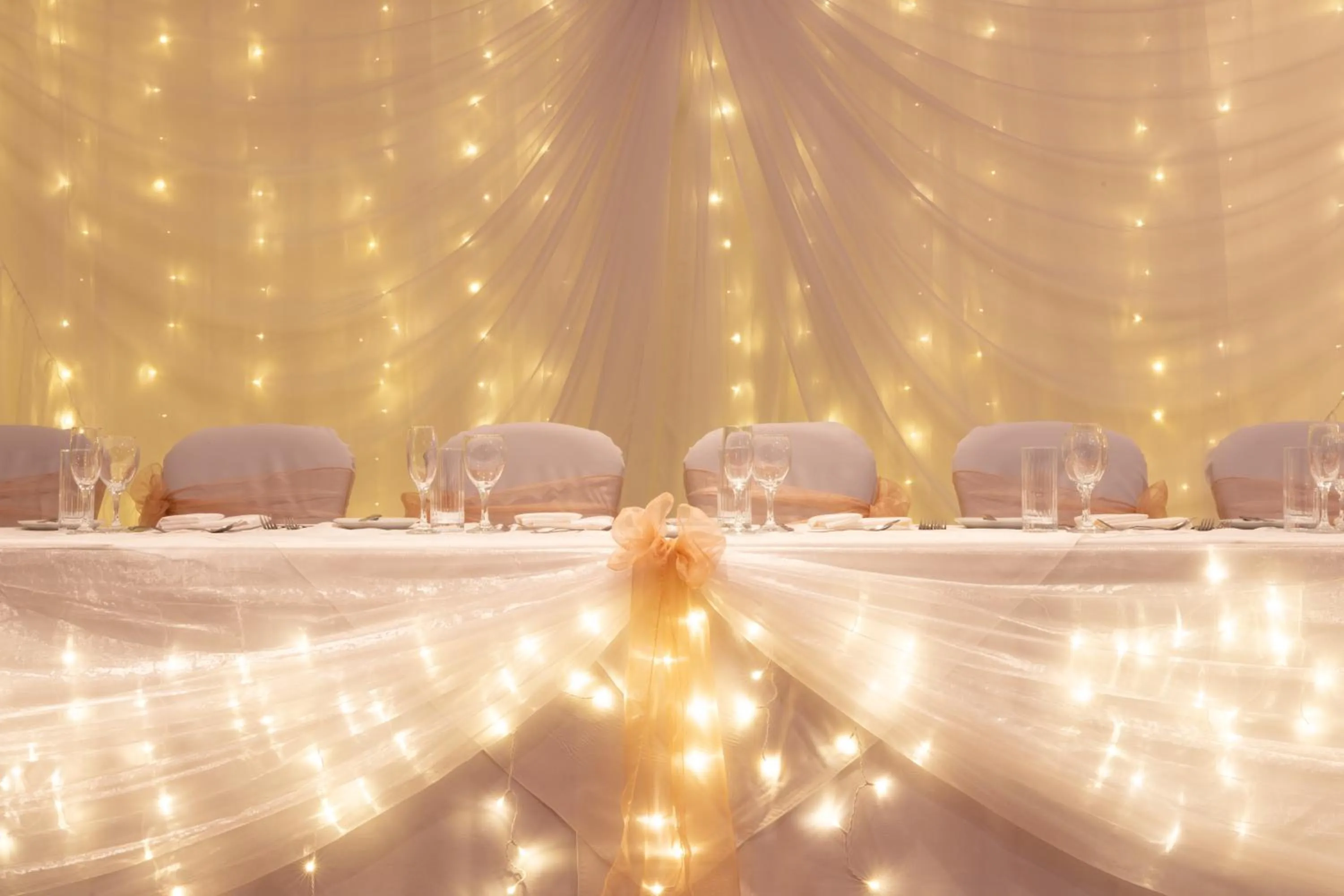 Banquet/Function facilities in Avisford Park Hotel