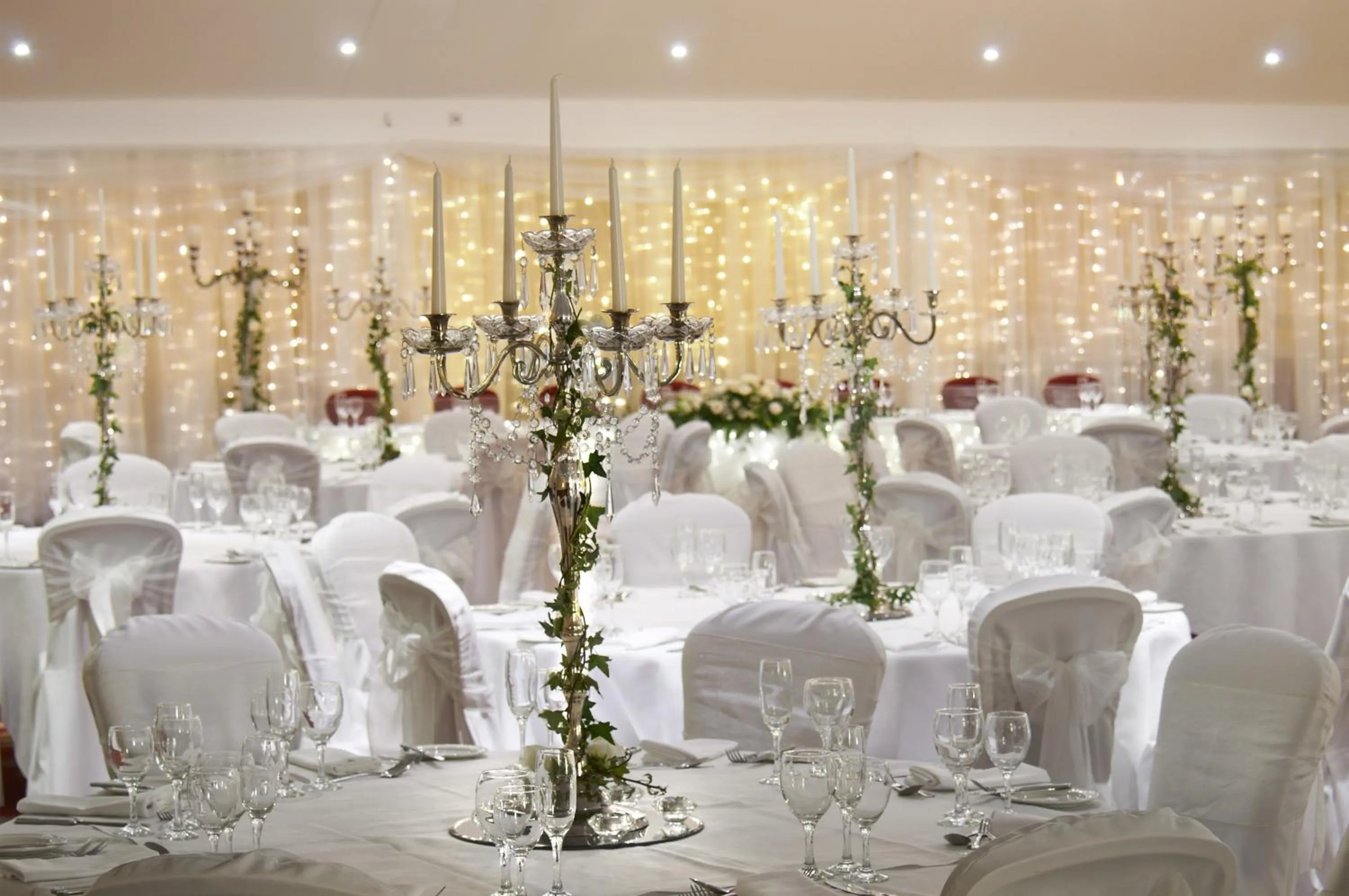 Banquet/Function facilities in Avisford Park Hotel