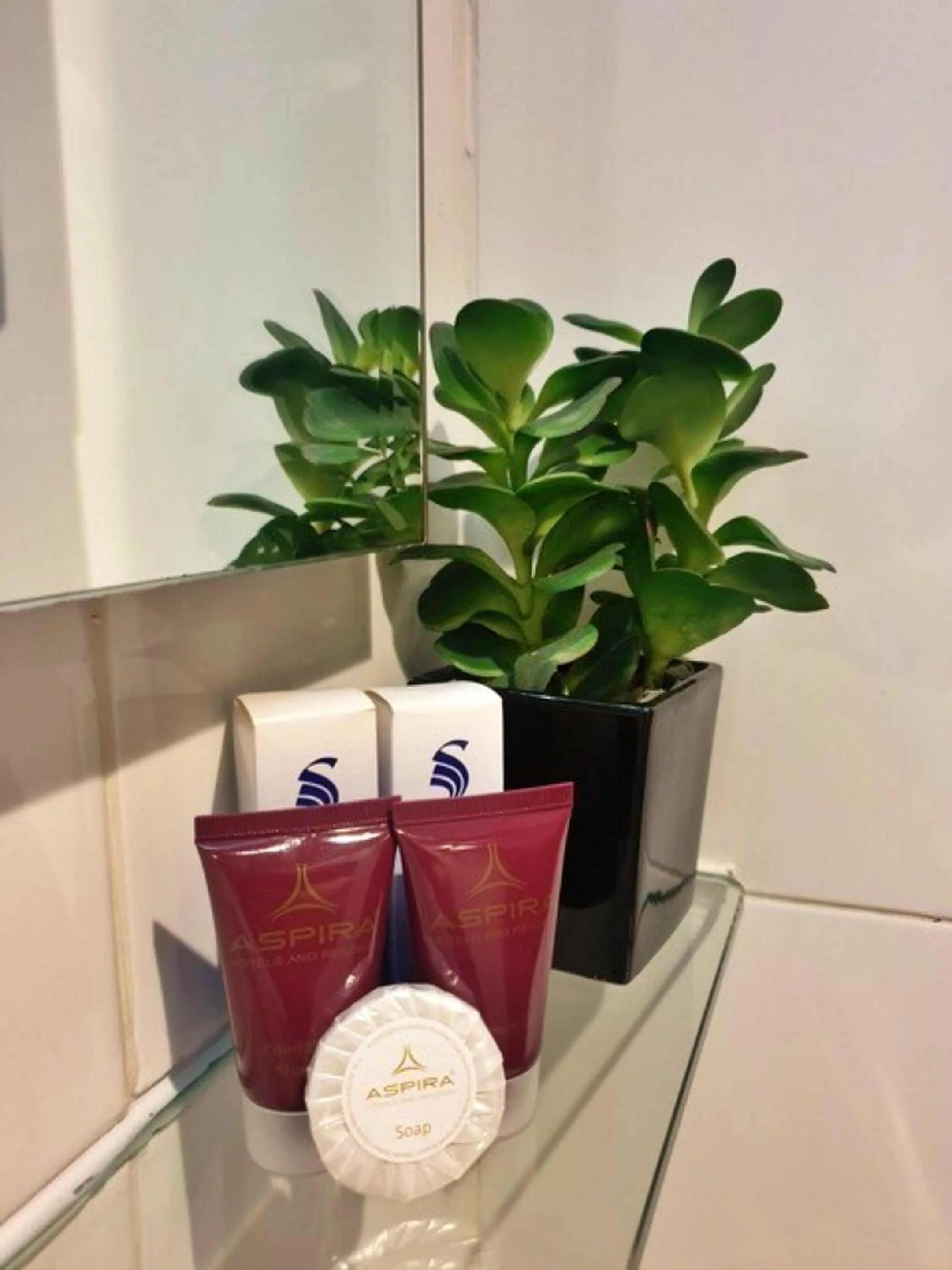 Bathroom in Aspira Skyy Sukhumvit 1