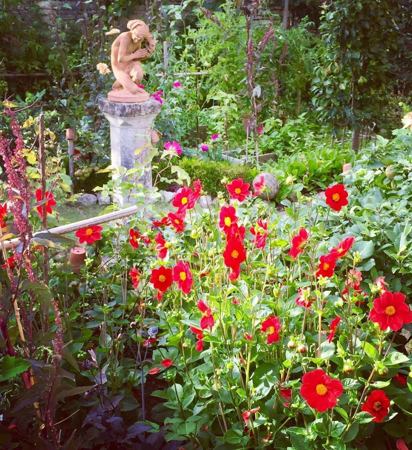 Chambres d'hôtes La Borderie du Gô près de La Rochelle - Nieul