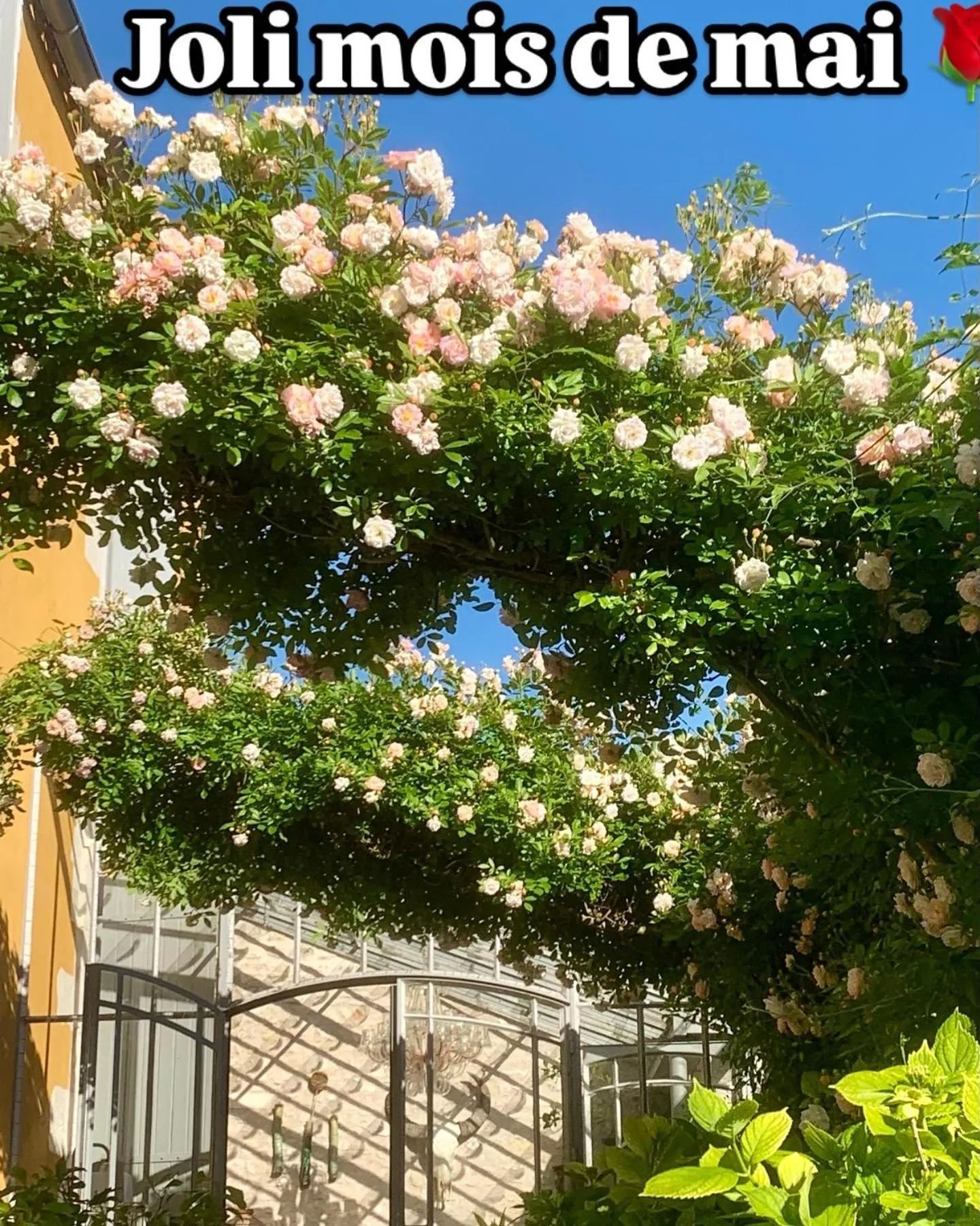 Chambres d'hôtes La Borderie du Gô près de La Rochelle - Nieul