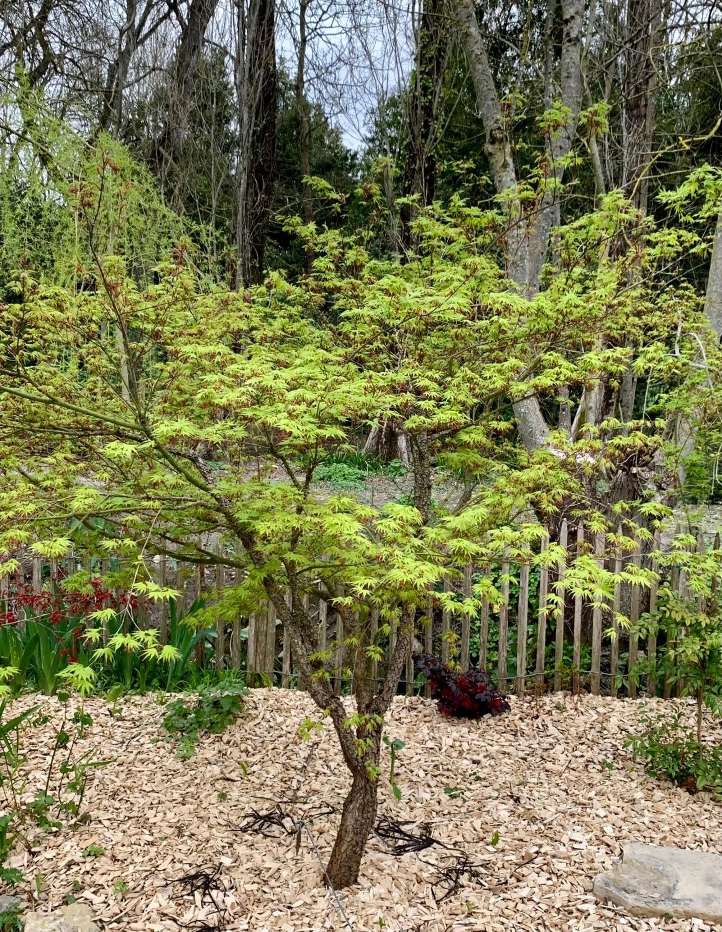 Chambres d'hôtes La Borderie du Gô près de La Rochelle - Nieul